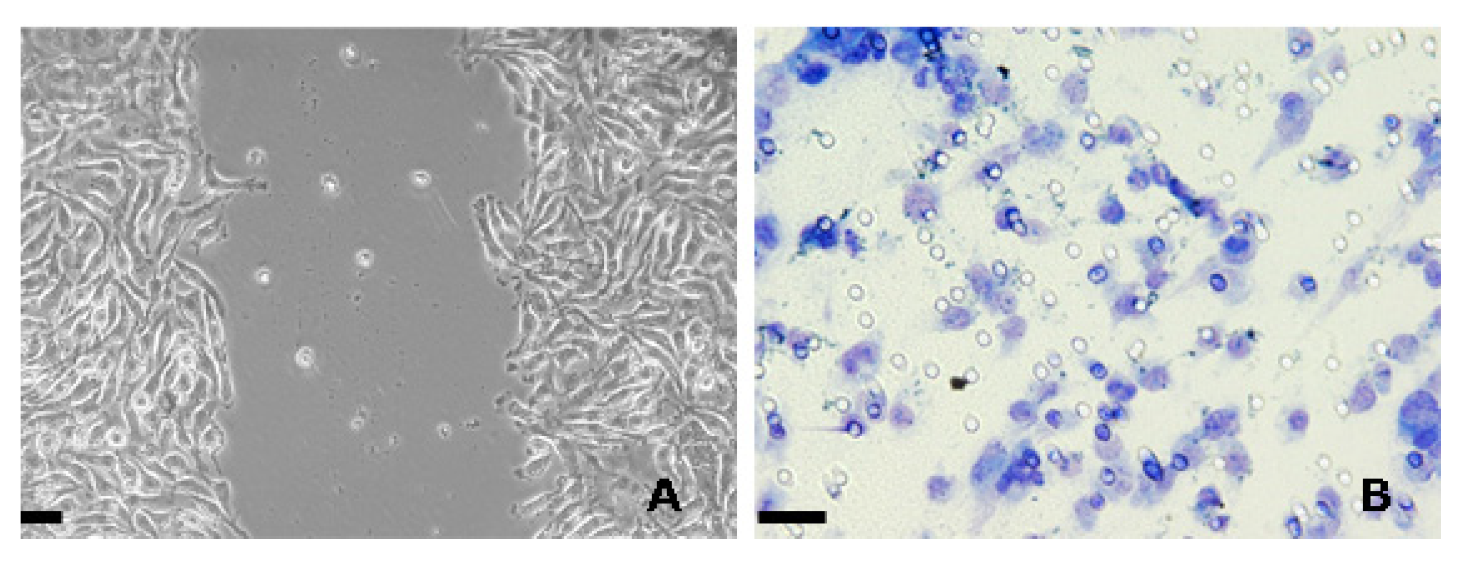Molecules 25 02471 g001 Molecules 25 02471 g001