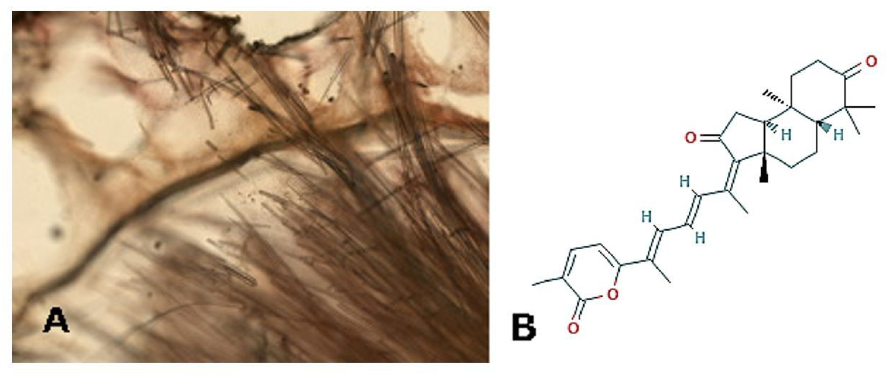 Molecules 25 02471 g003 Molecules 25 02471 g003
