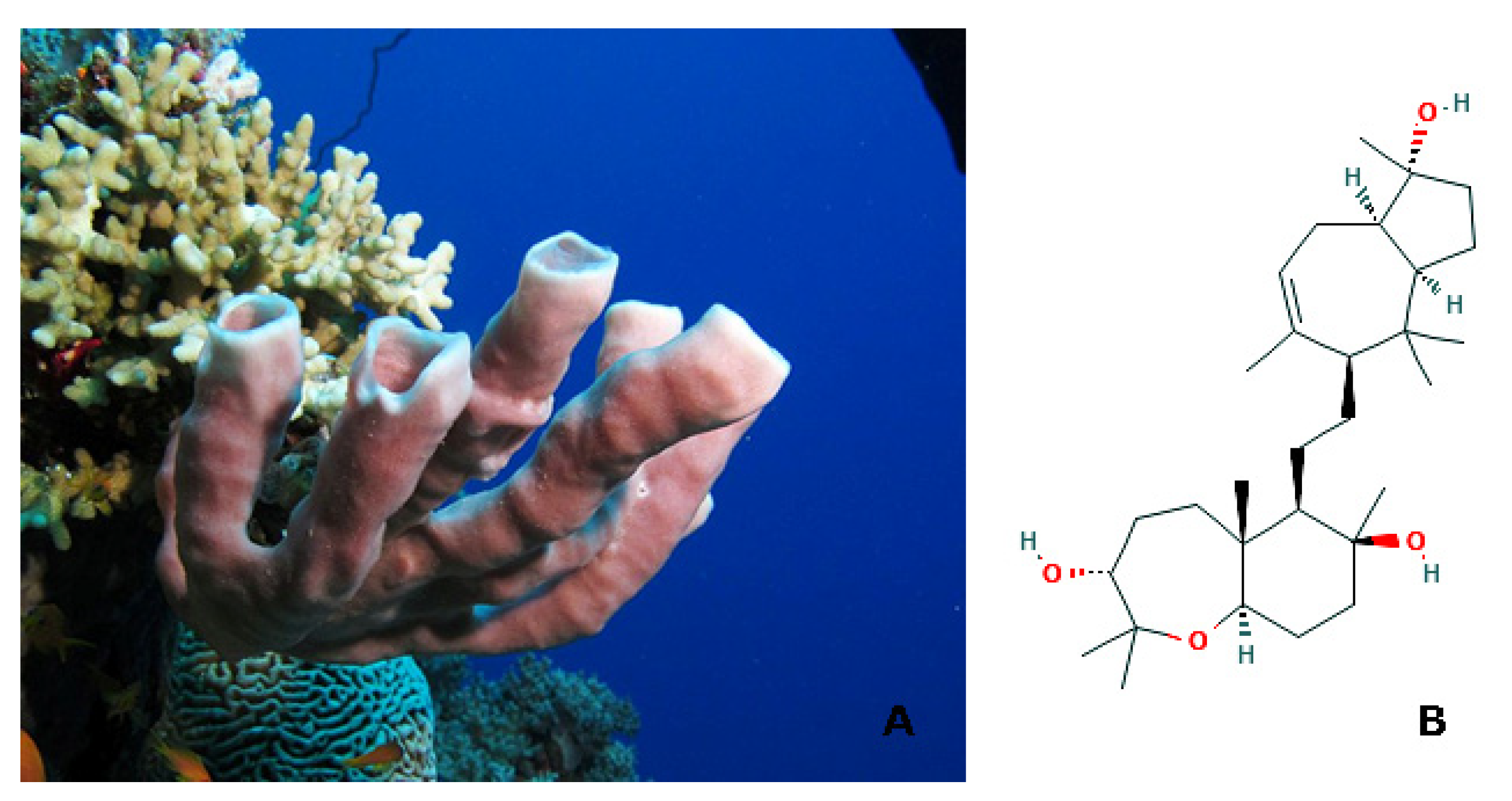 Molecules 25 02471 g006 Molecules 25 02471 g006