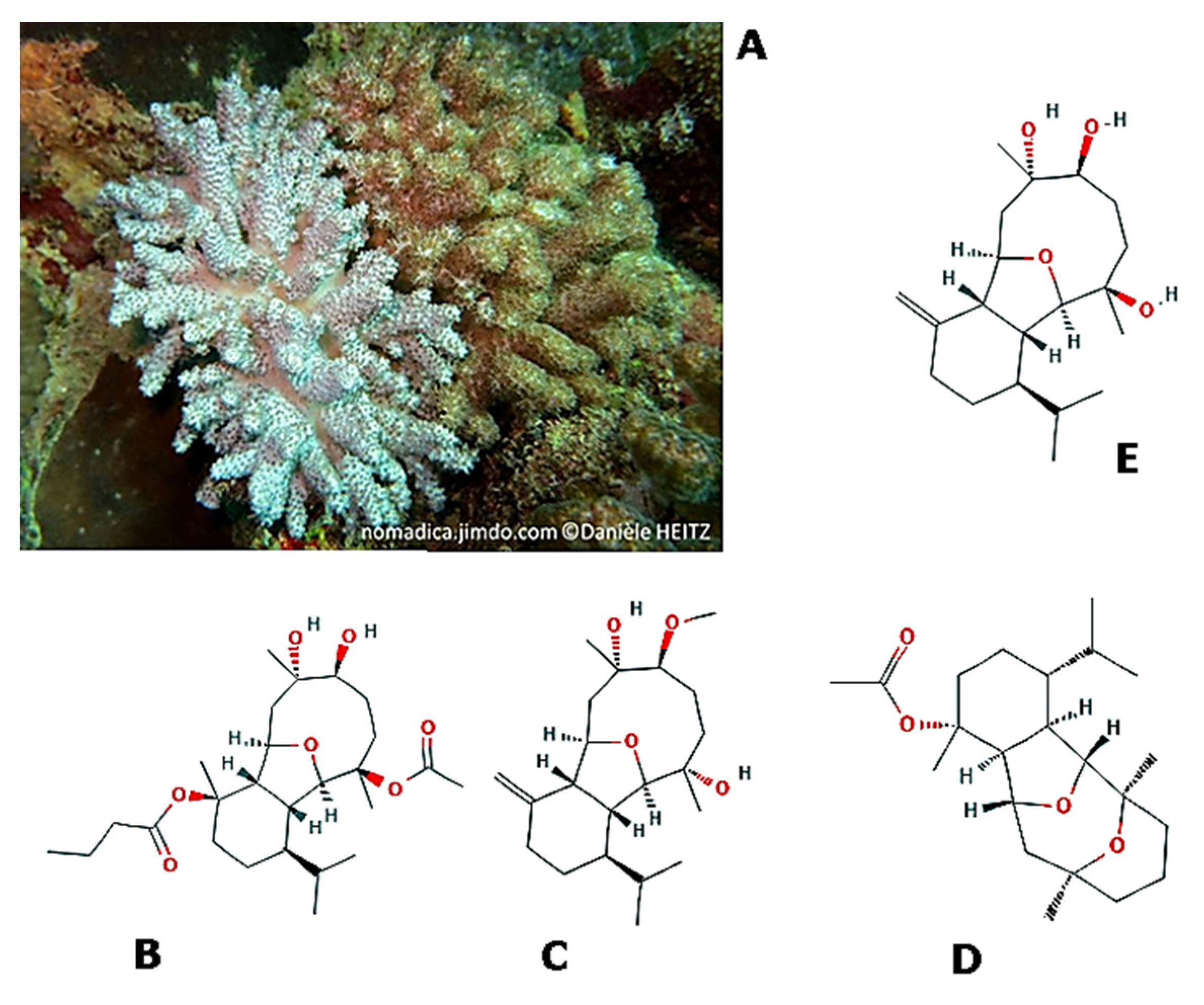 Molecules 25 02471 g009 Molecules 25 02471 g009