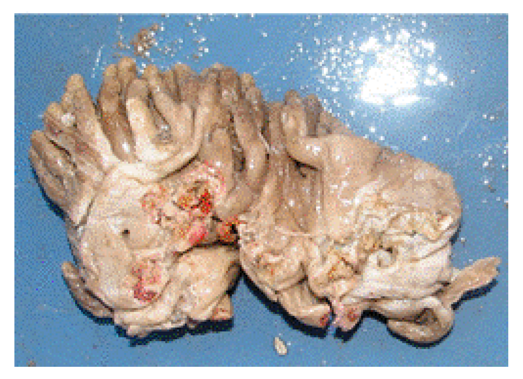 Molecules 25 02471 g012 Molecules 25 02471 g012