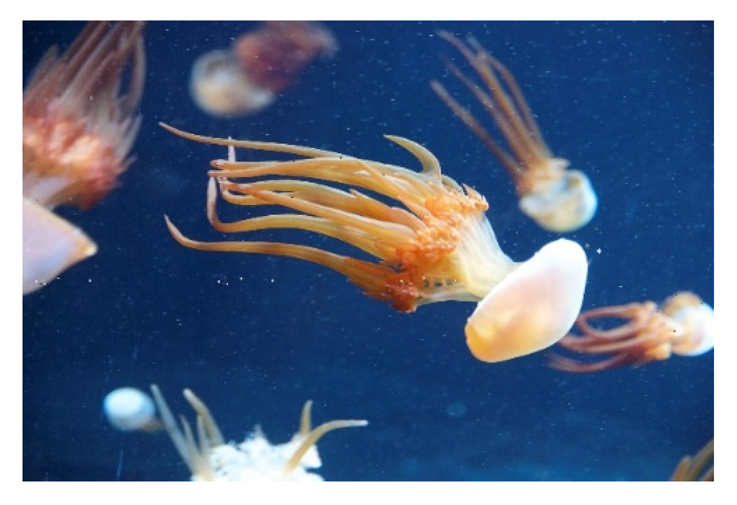 Molecules 25 02471 g014 Molecules 25 02471 g014