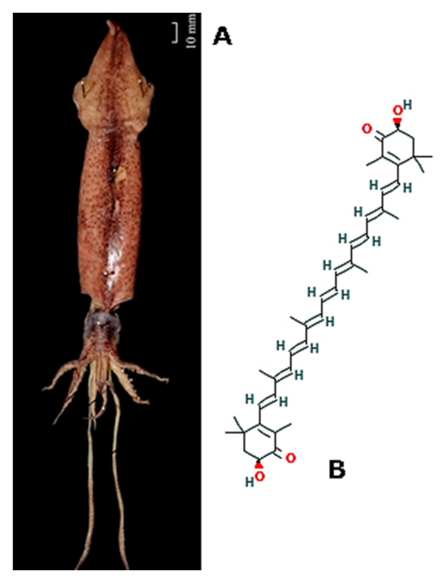 Molecules 25 02471 g015 Molecules 25 02471 g015