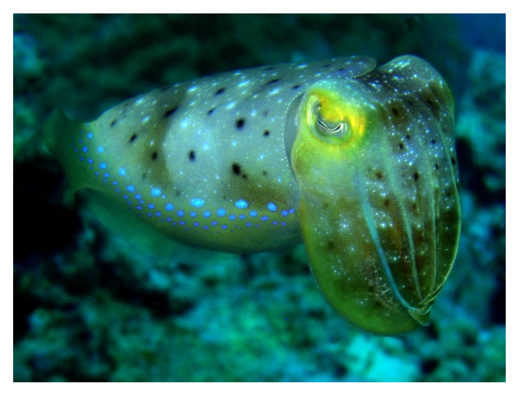 Molecules 25 02471 g016 Molecules 25 02471 g016