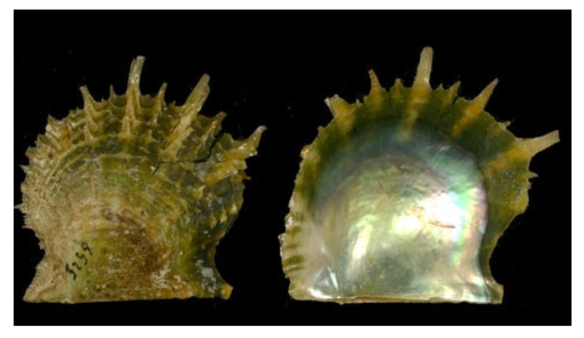 Molecules 25 02471 g019 Molecules 25 02471 g019