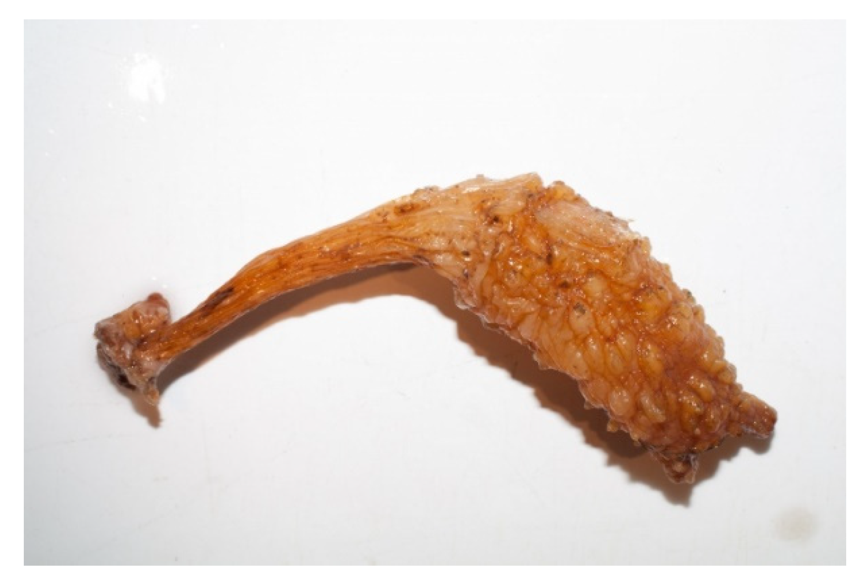 Molecules 25 02471 g031 Molecules 25 02471 g031