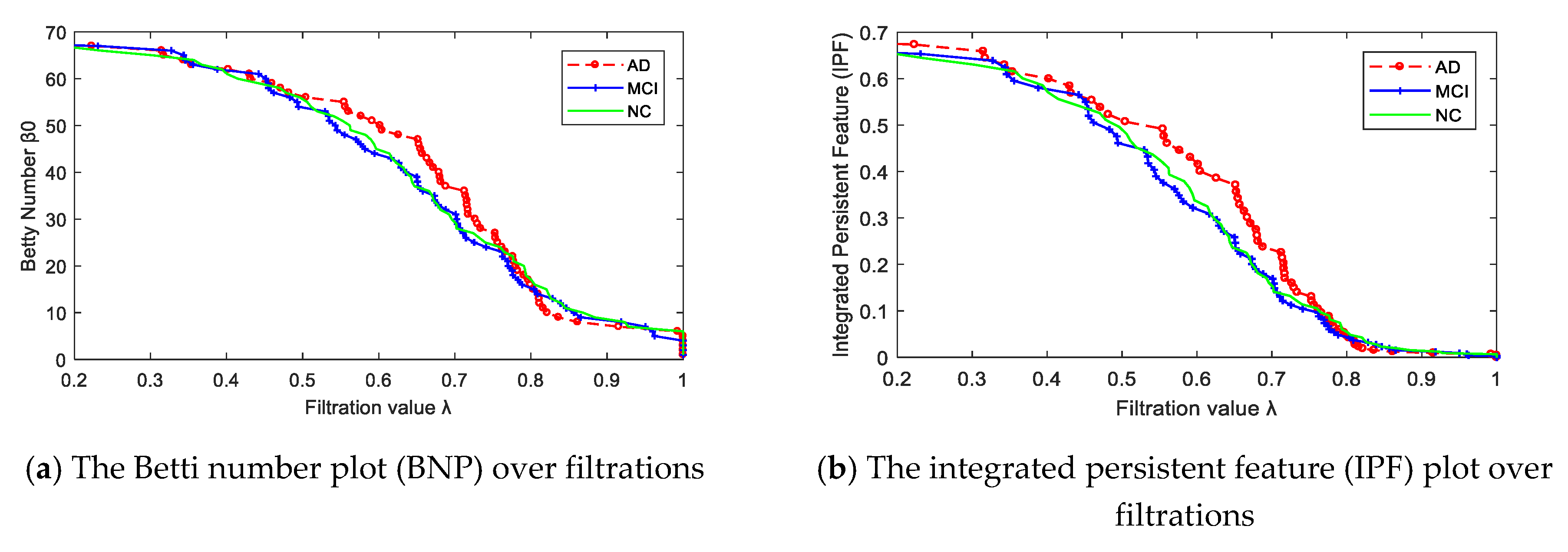Molecules 25 02472 g003 Molecules 25 02472 g003