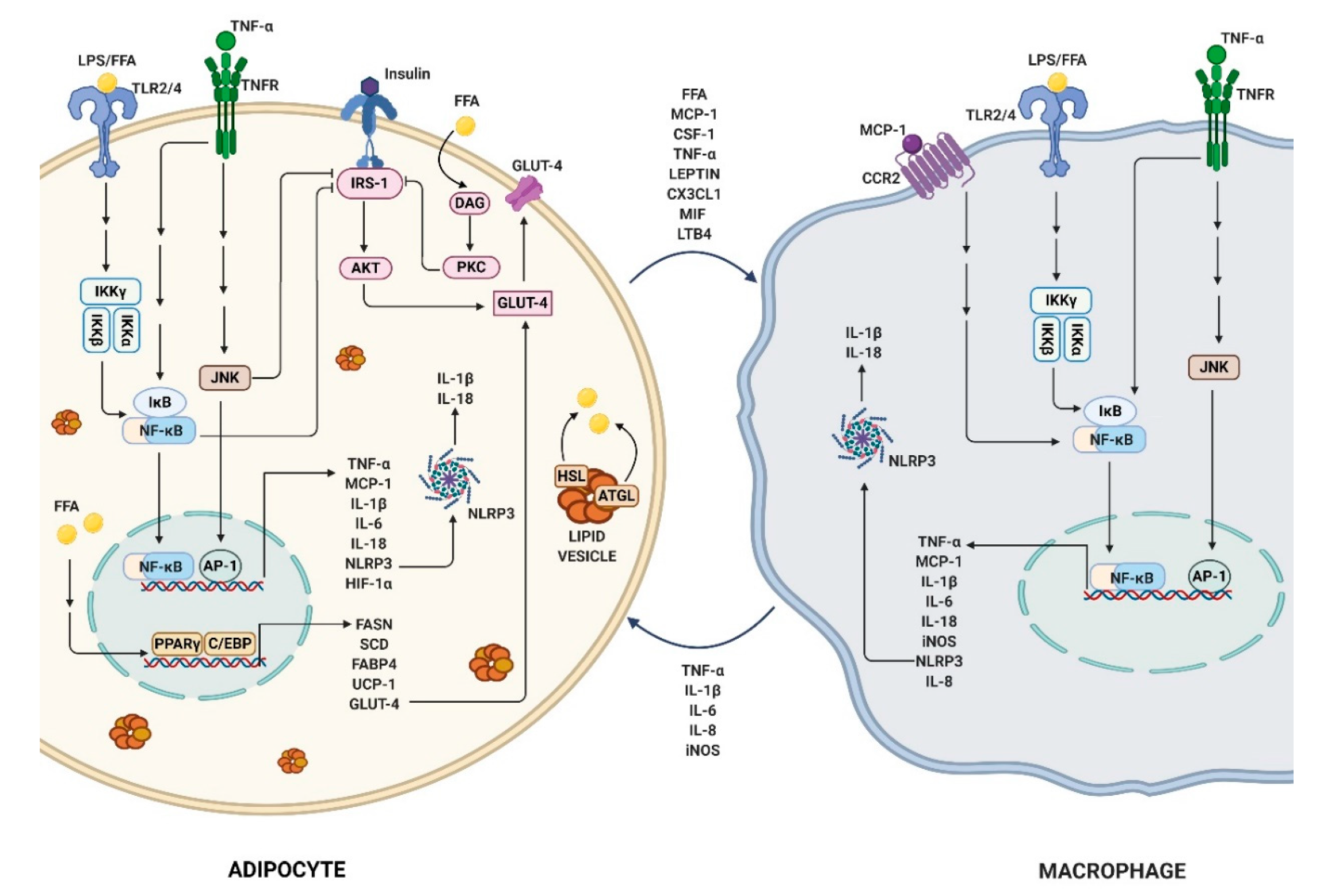 Molecules 25 02477 g002