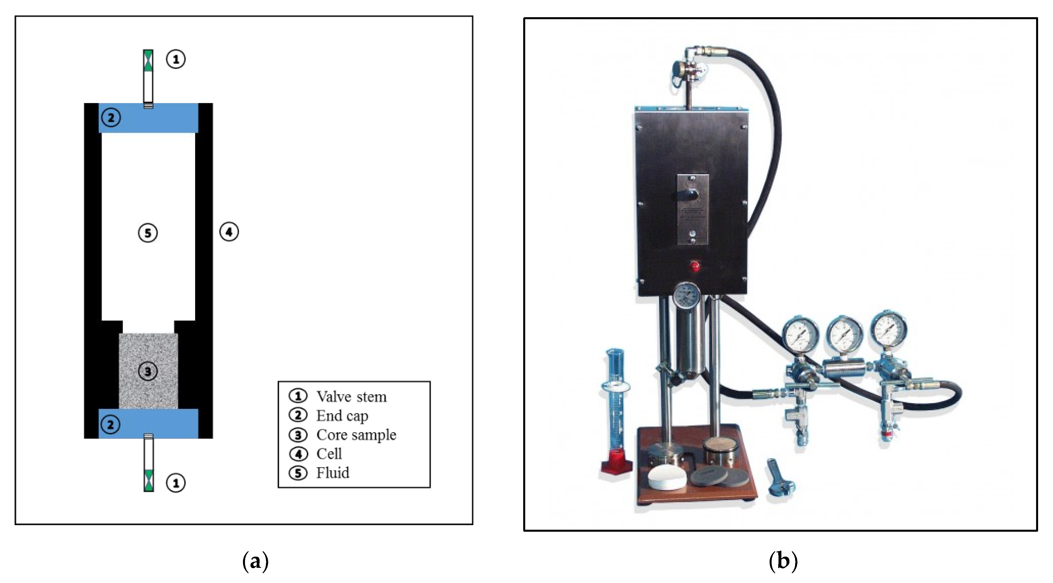 Molecules 25 02480 g001