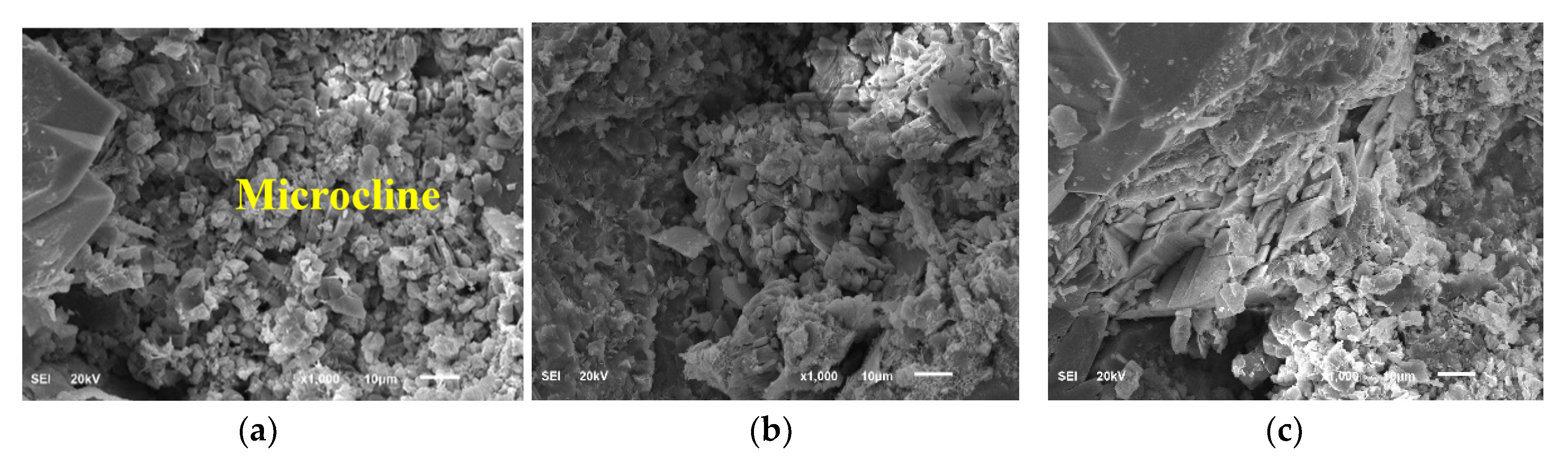 Molecules 25 02480 g007a