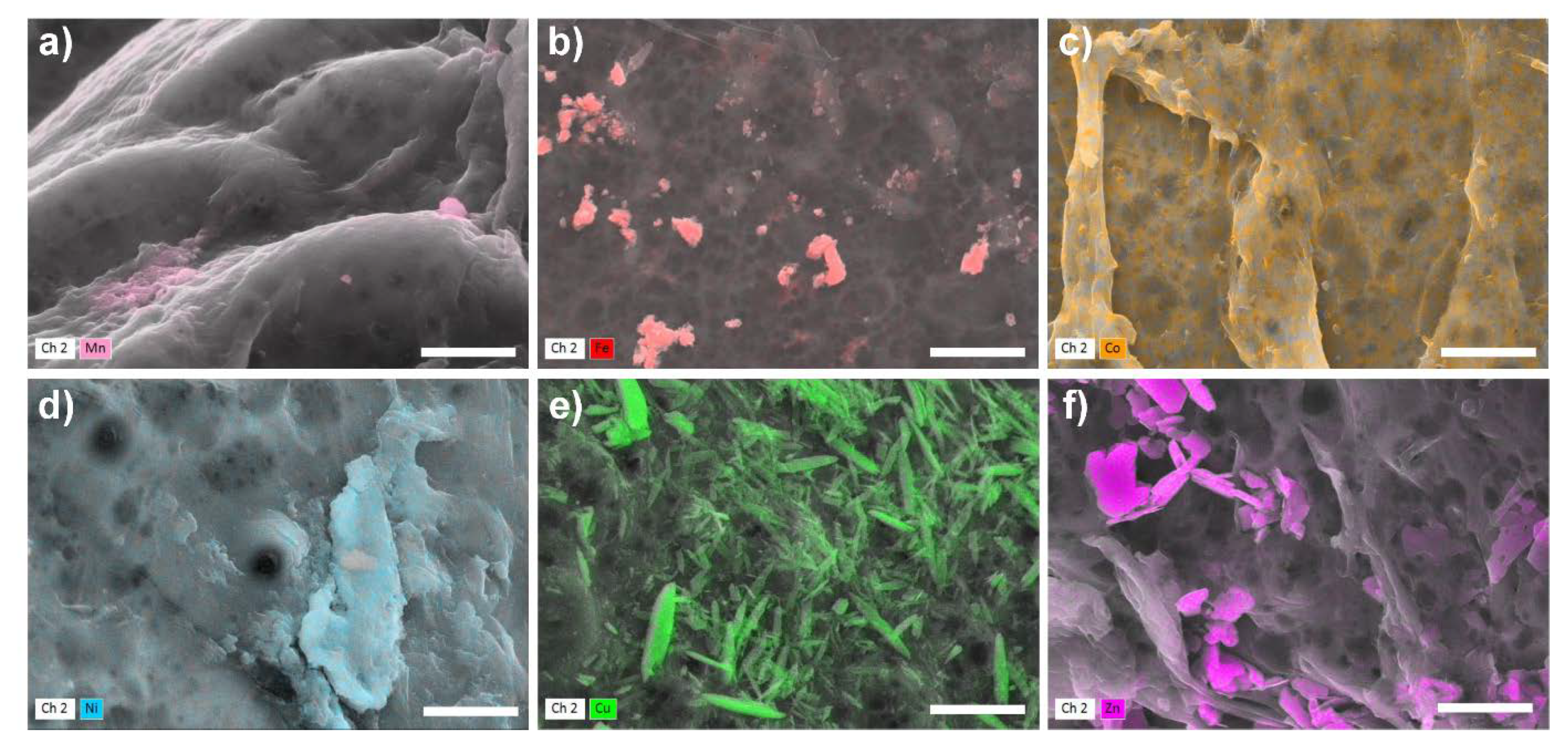 Molecules 25 02482 g004 Molecules 25 02482 g004