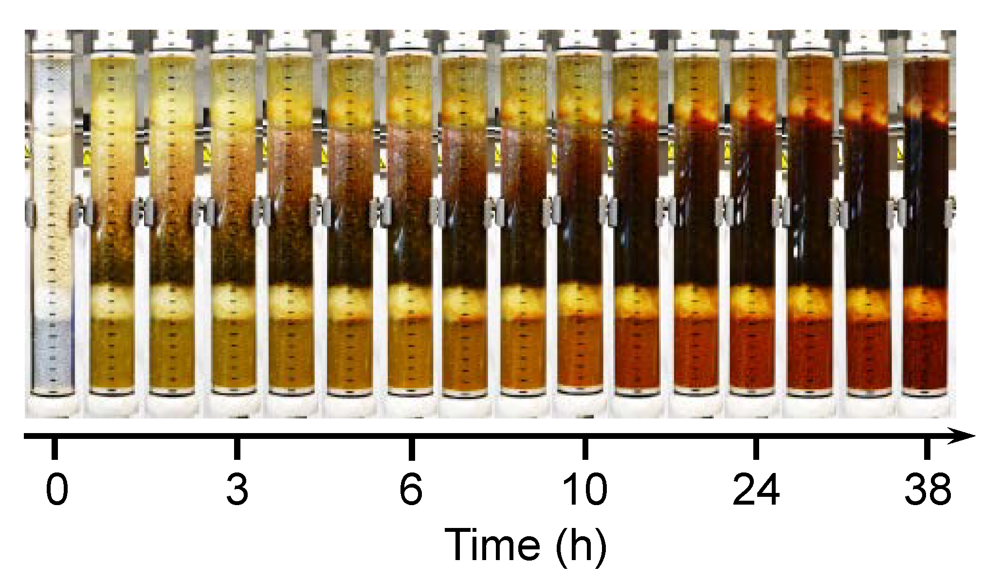 Molecules 25 02482 g005 Molecules 25 02482 g005
