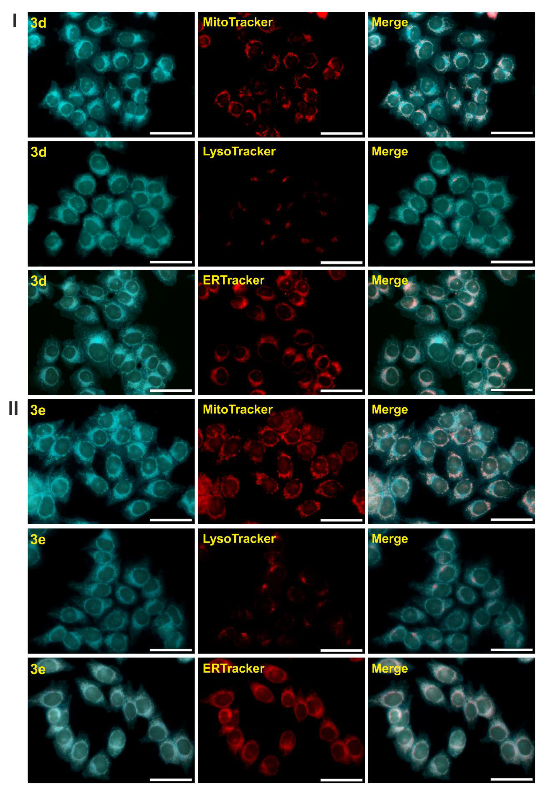 Molecules 25 02488 g010