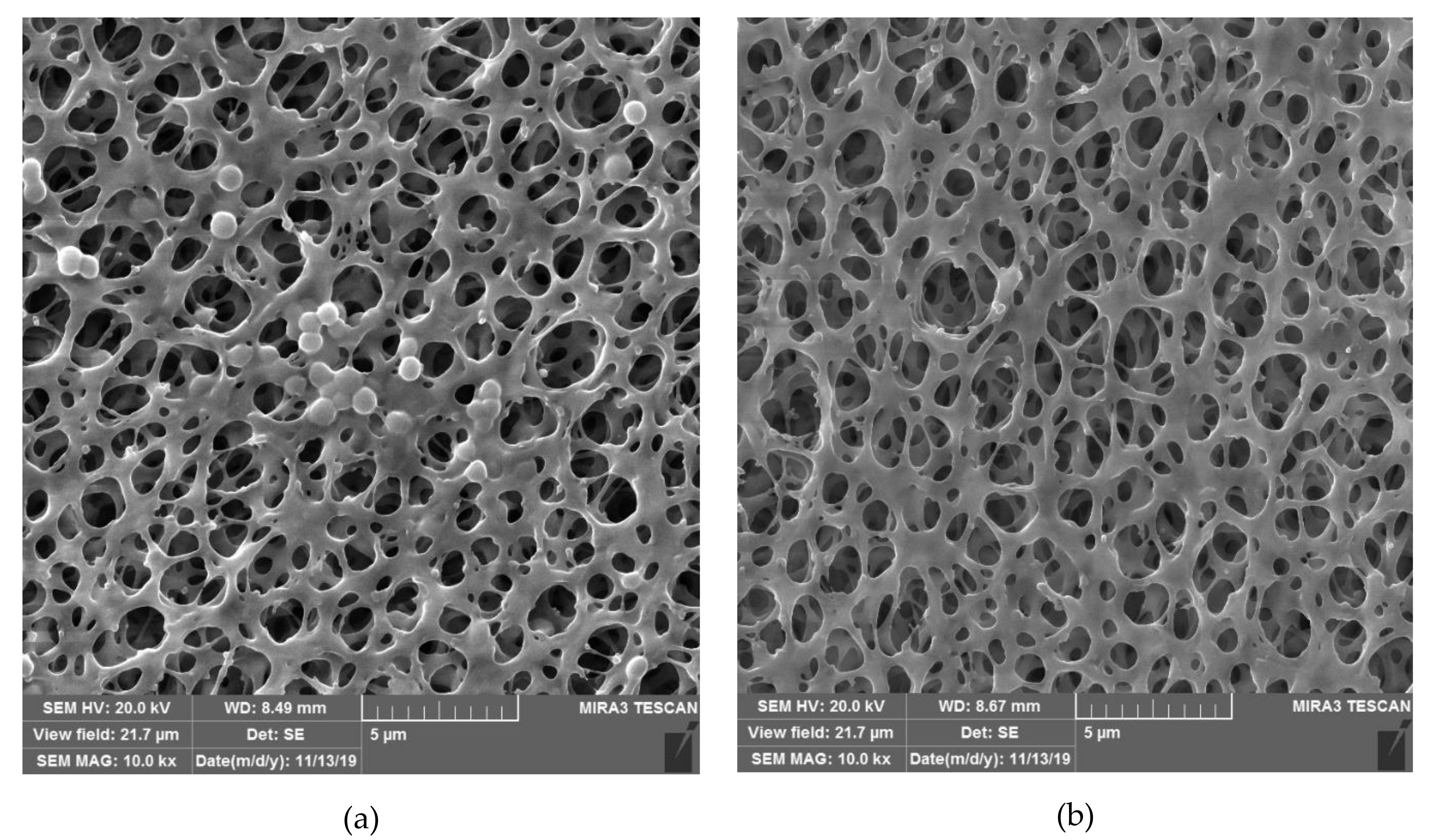 Molecules 25 02491 g003