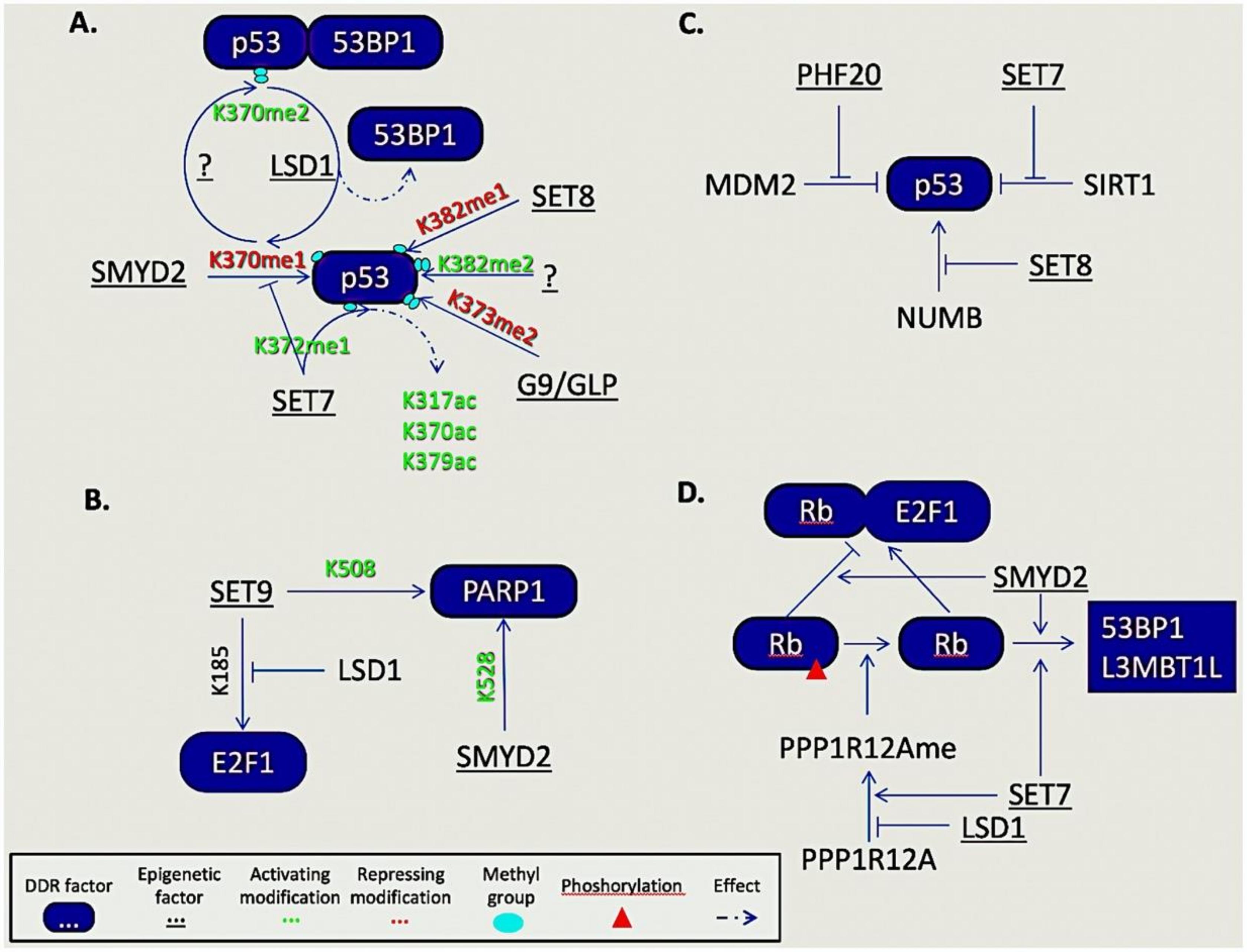 Molecules 25 02496 g003 Molecules 25 02496 g003