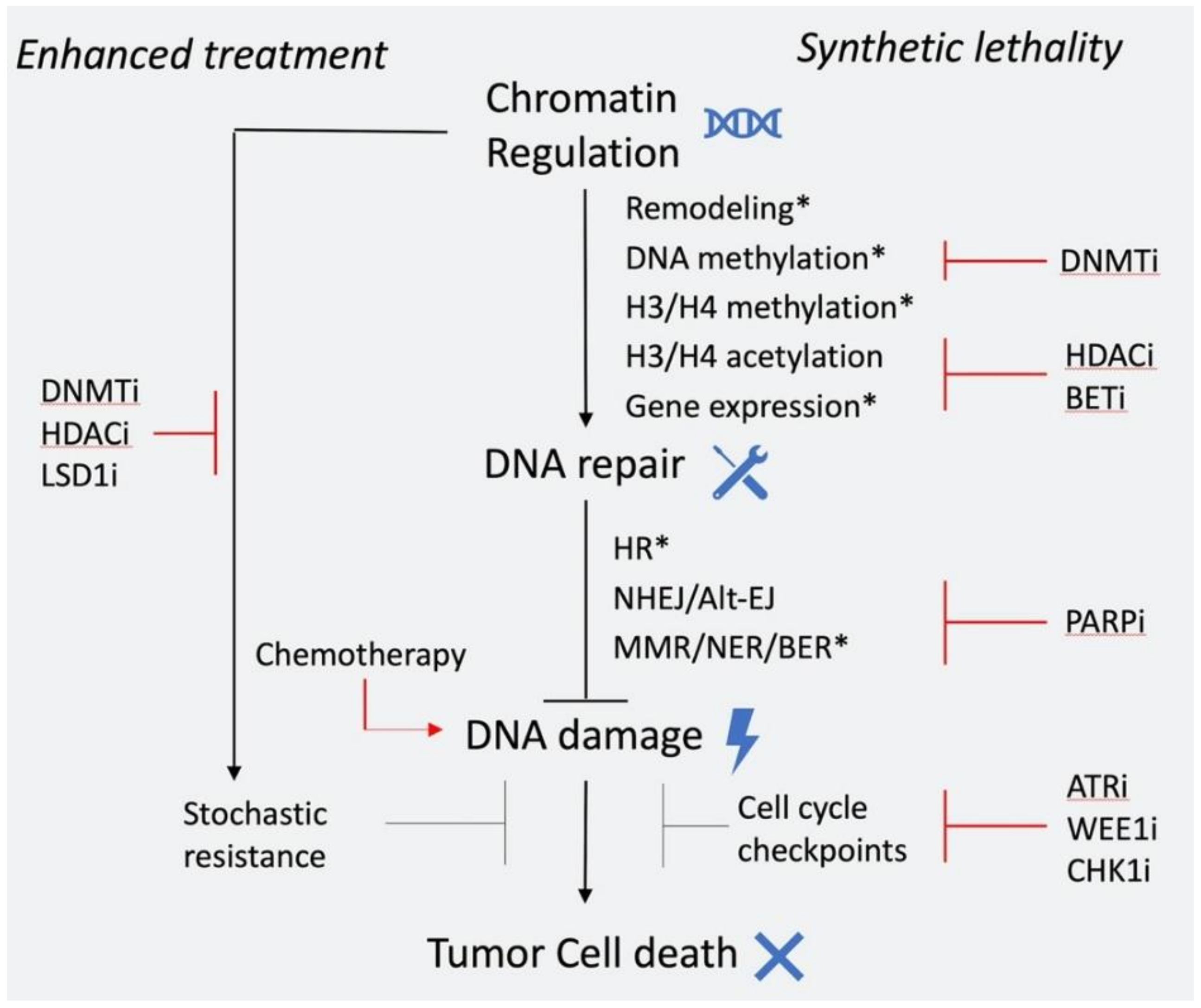 Molecules 25 02496 g004 Molecules 25 02496 g004
