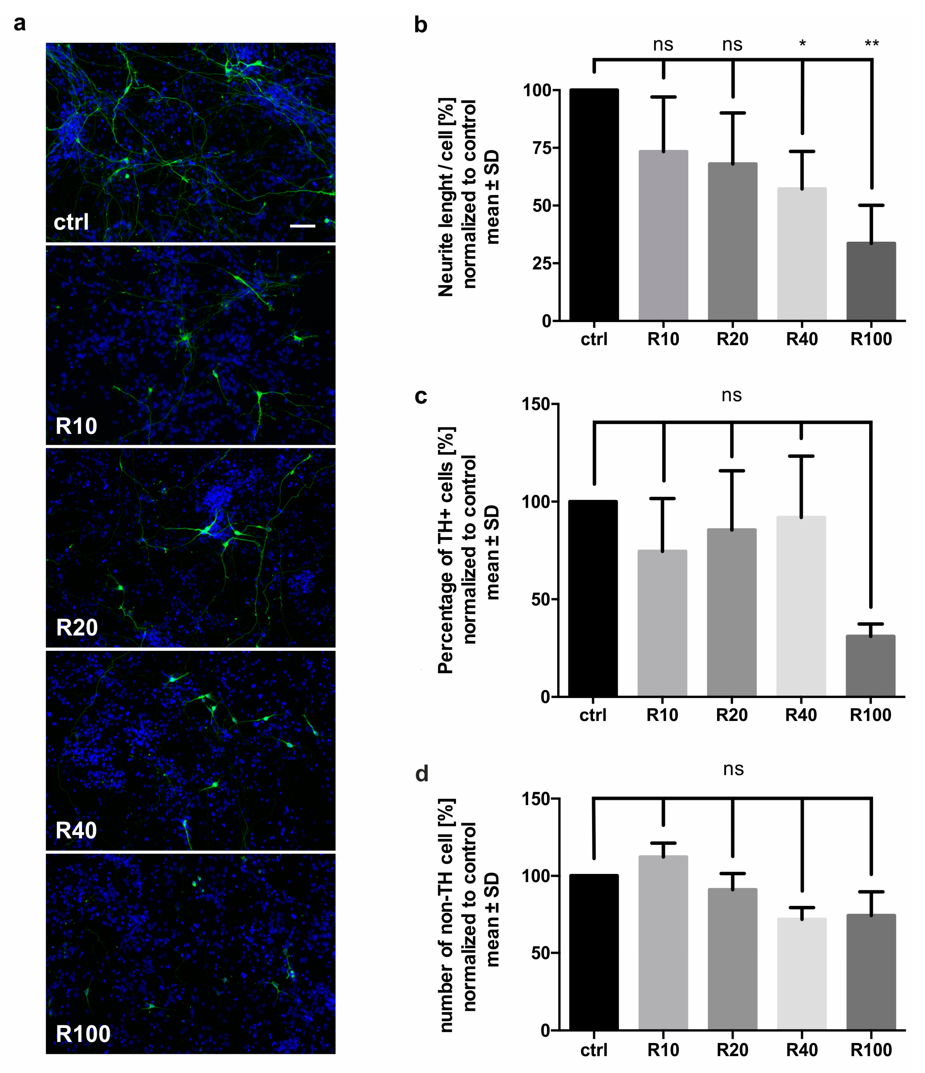 Molecules 25 02502 g001