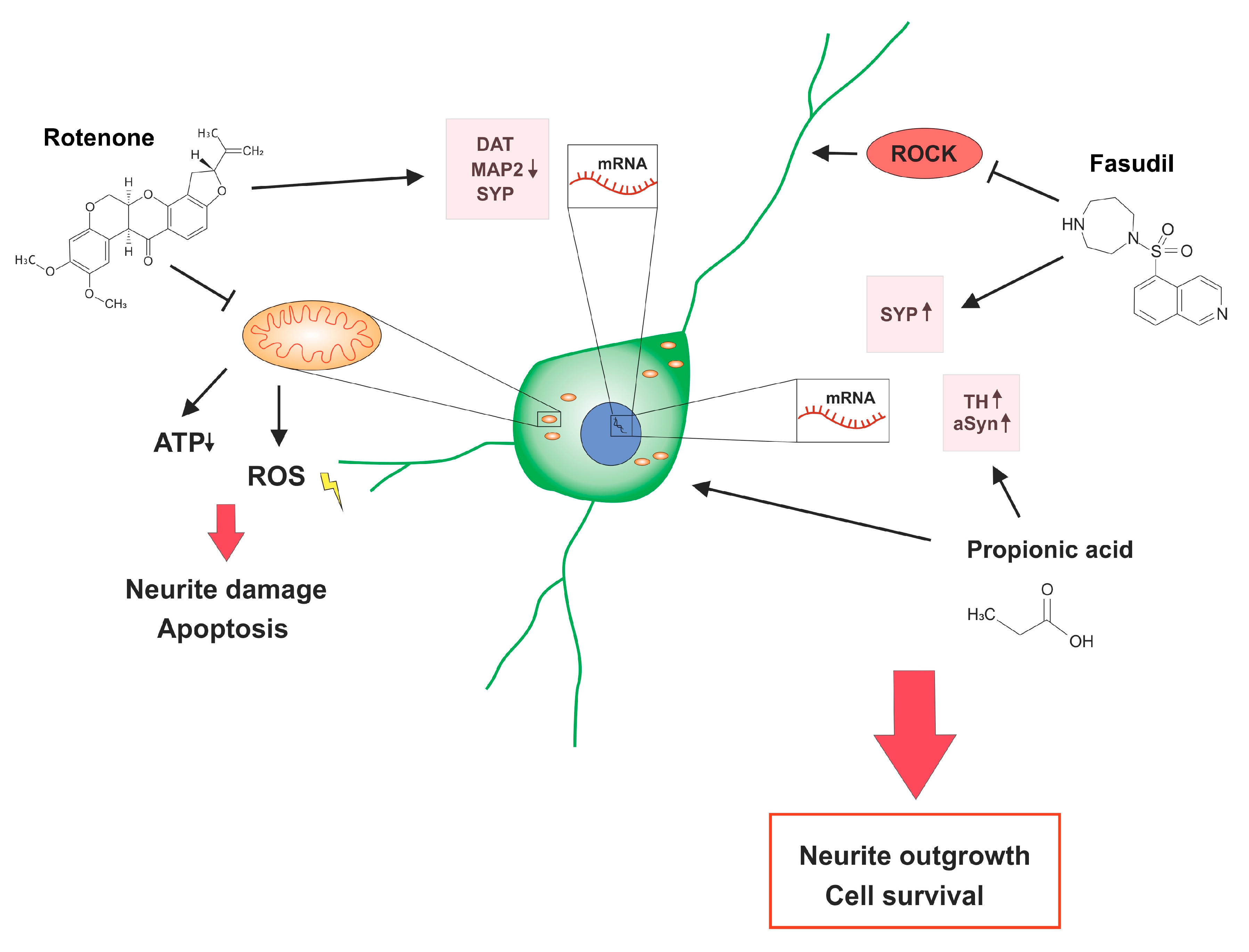 Molecules 25 02502 g005