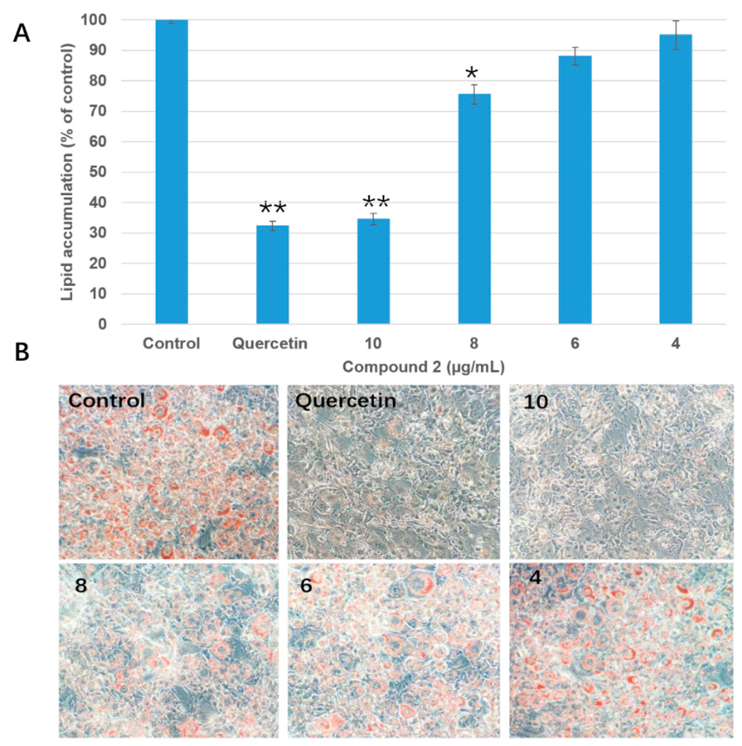Molecules 25 02504 g004 Molecules 25 02504 g004