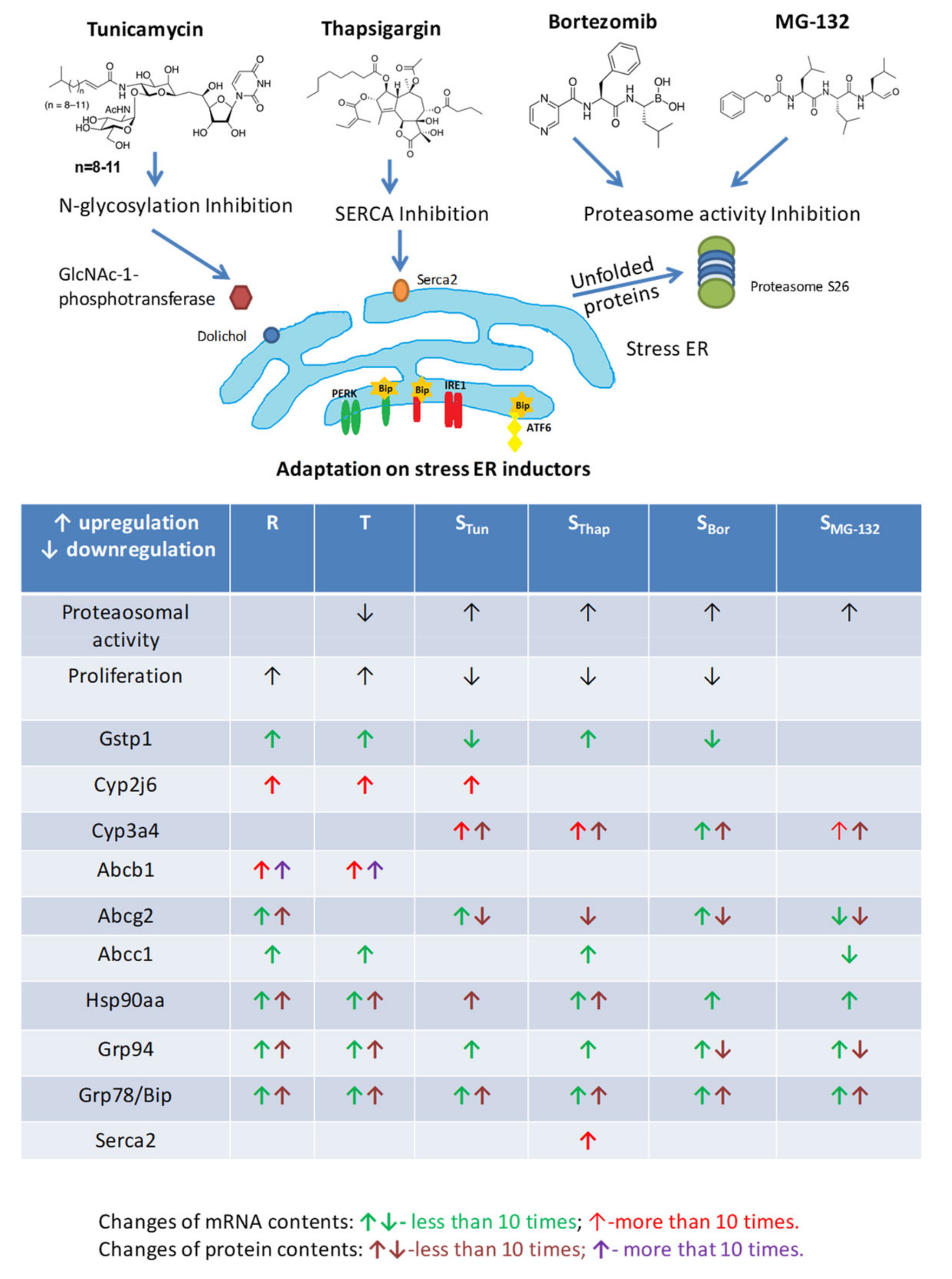 Molecules 25 02517 g008 Molecules 25 02517 g008