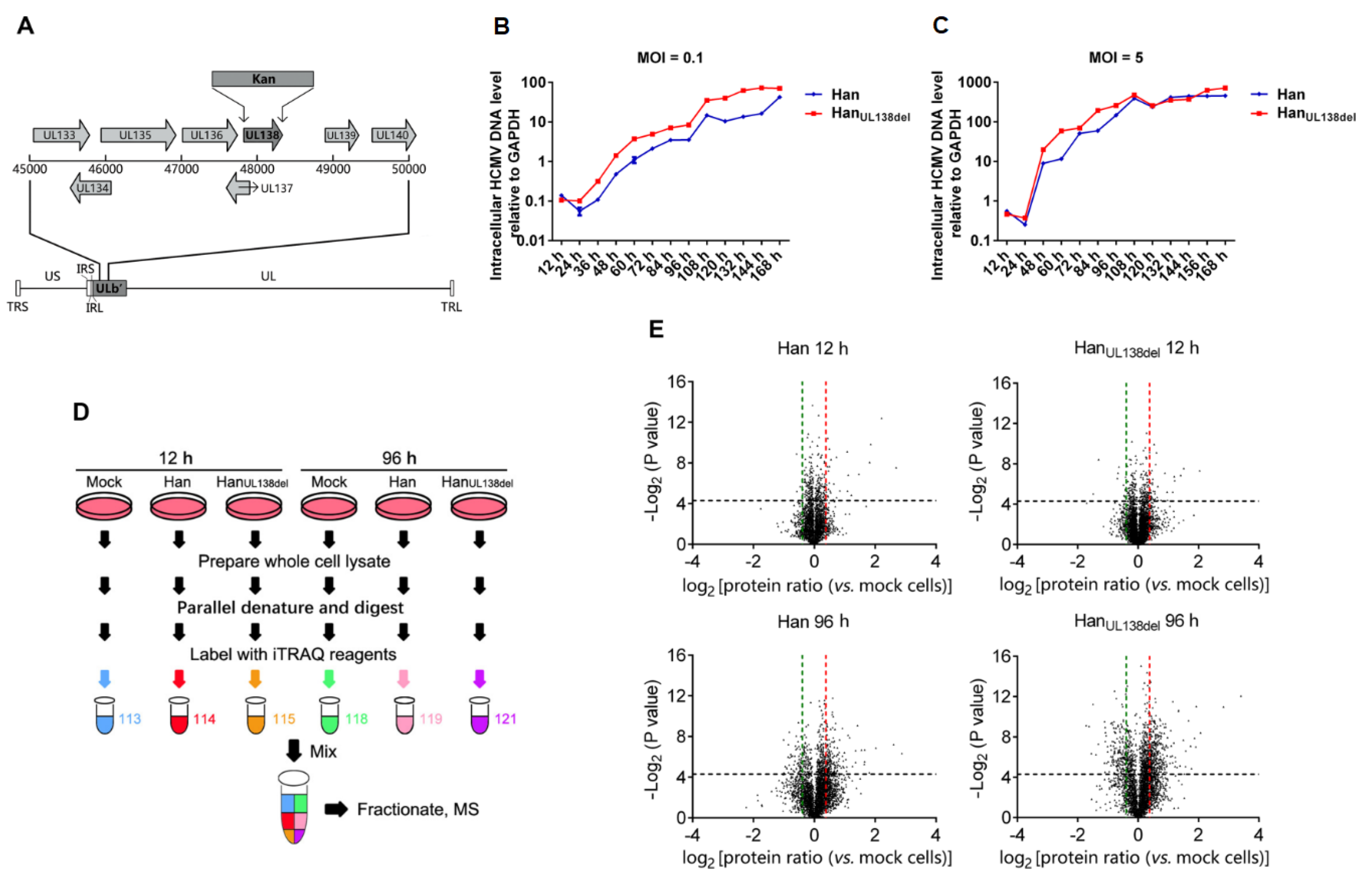 Molecules 25 02520 g001