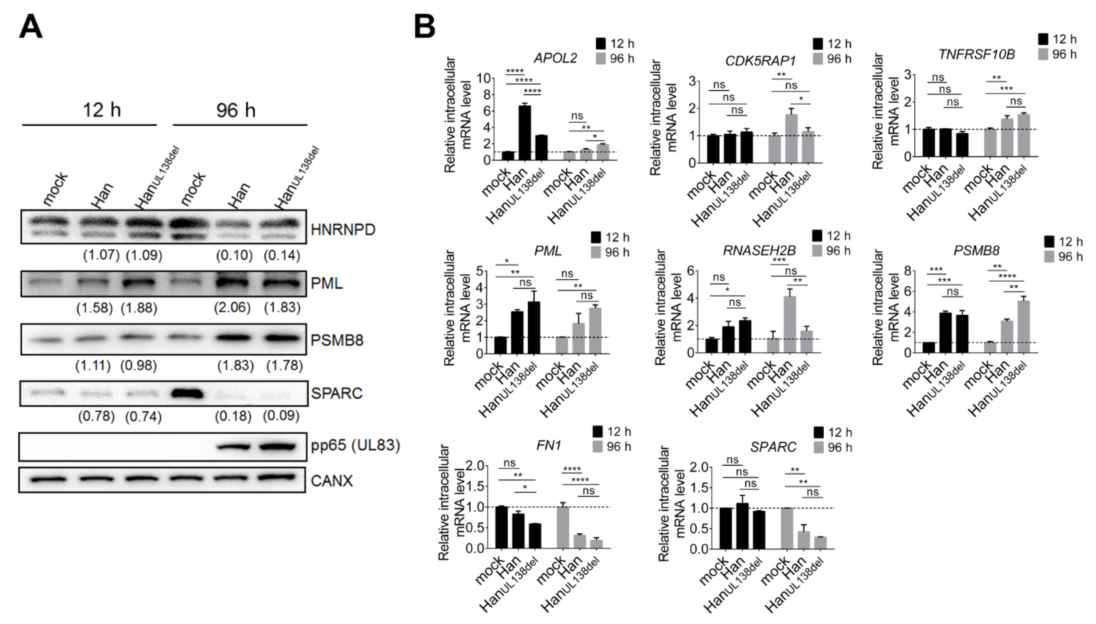 Molecules 25 02520 g002