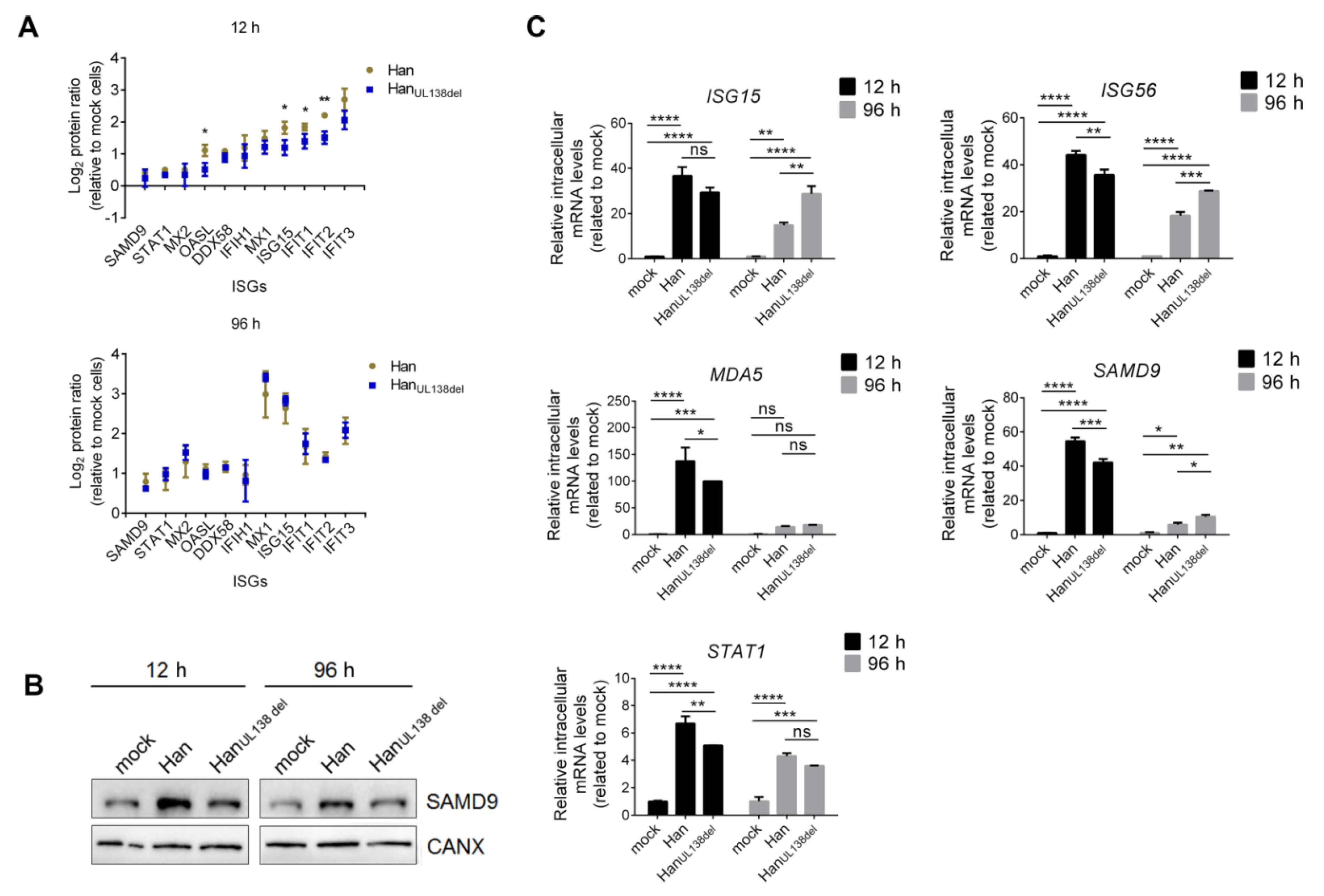 Molecules 25 02520 g004
