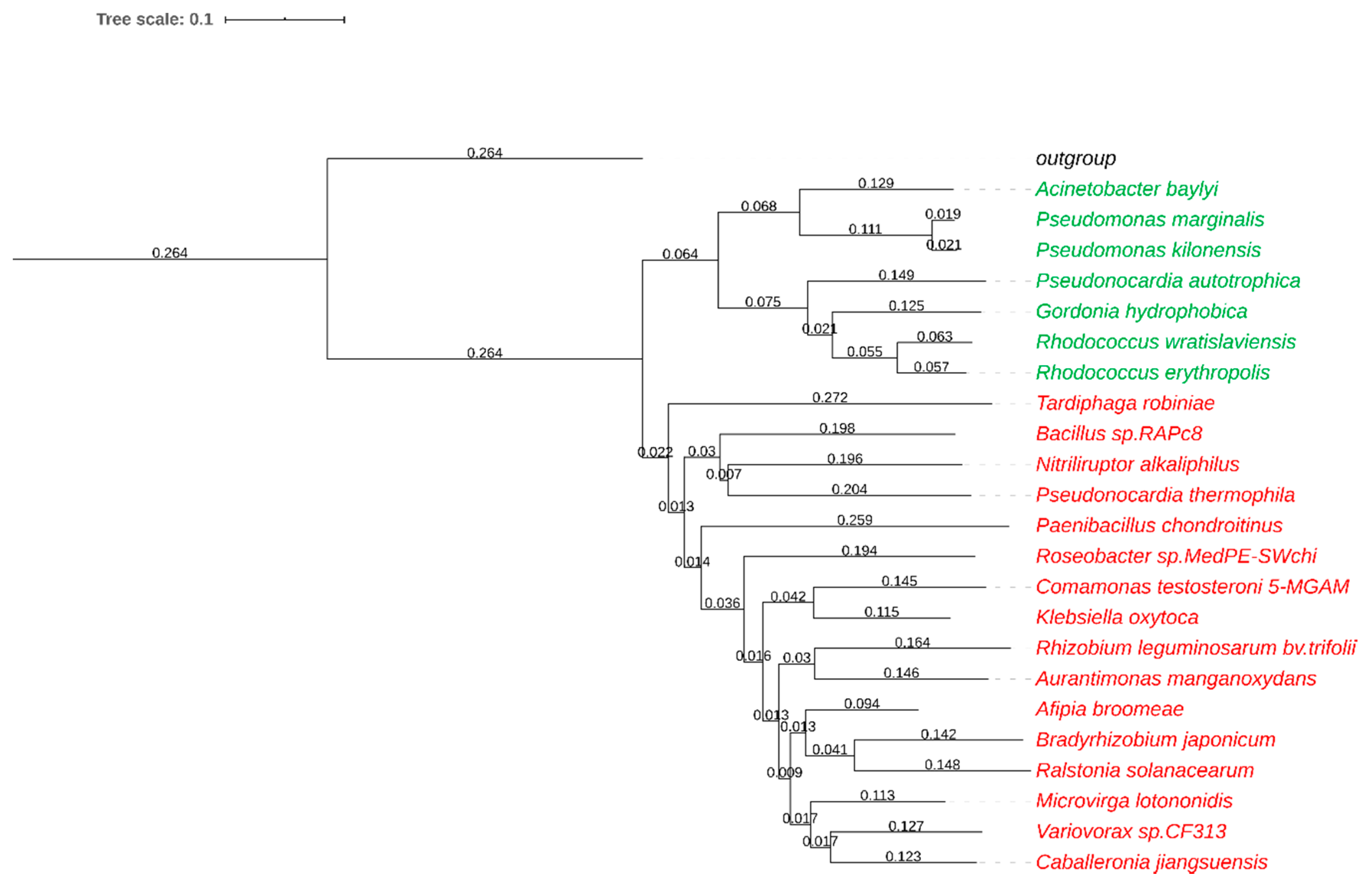 Molecules 25 02521 g002 Molecules 25 02521 g002