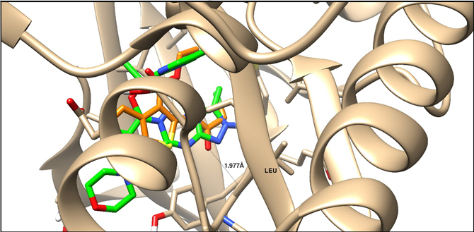Molecules 25 02523 i001 Molecules 25 02523 i001
