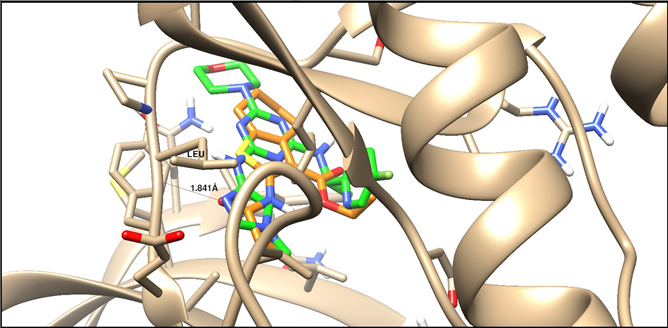 Molecules 25 02523 i002 Molecules 25 02523 i002