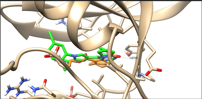 Molecules 25 02523 i003 Molecules 25 02523 i003