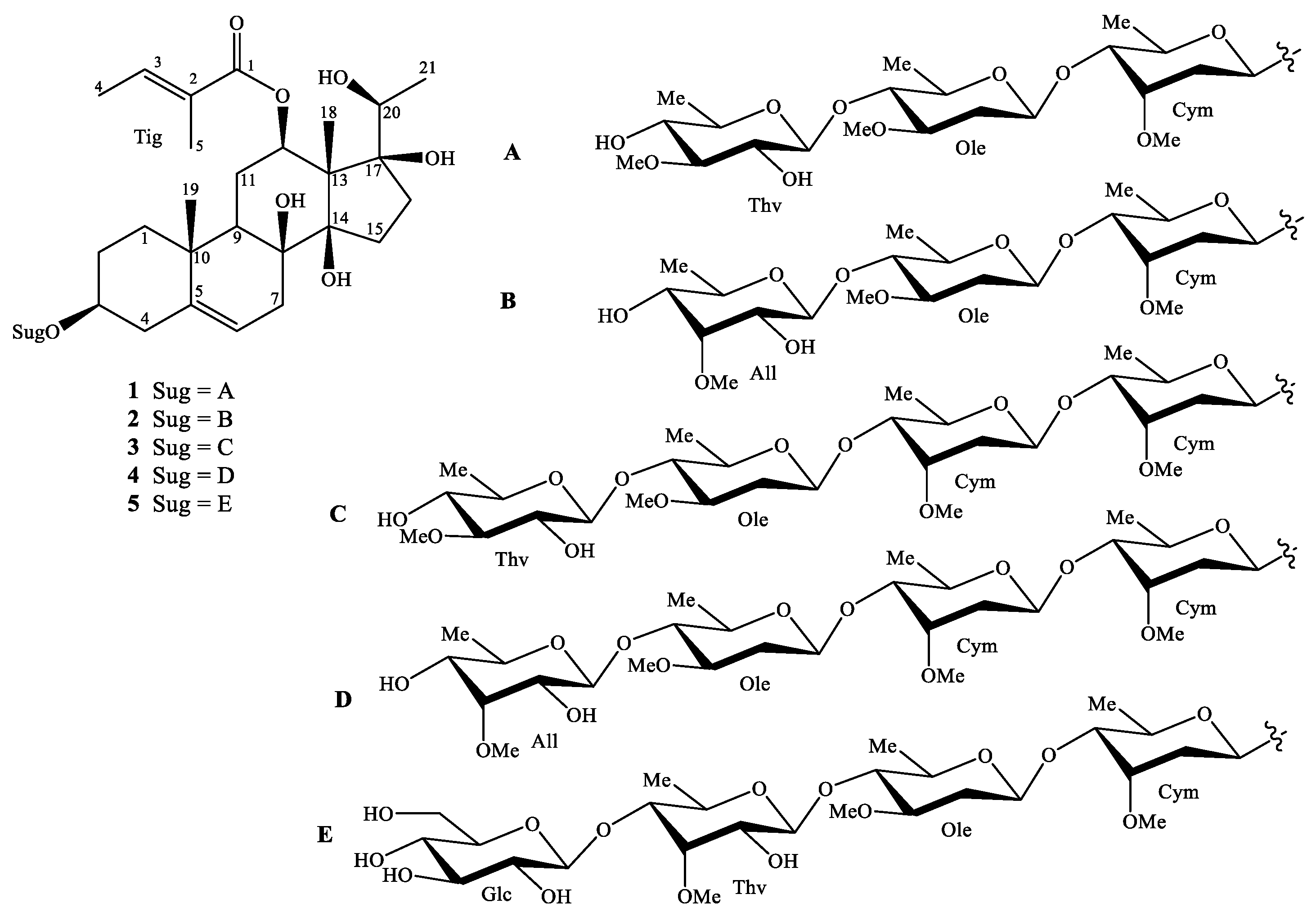Molecules 25 02525 g001