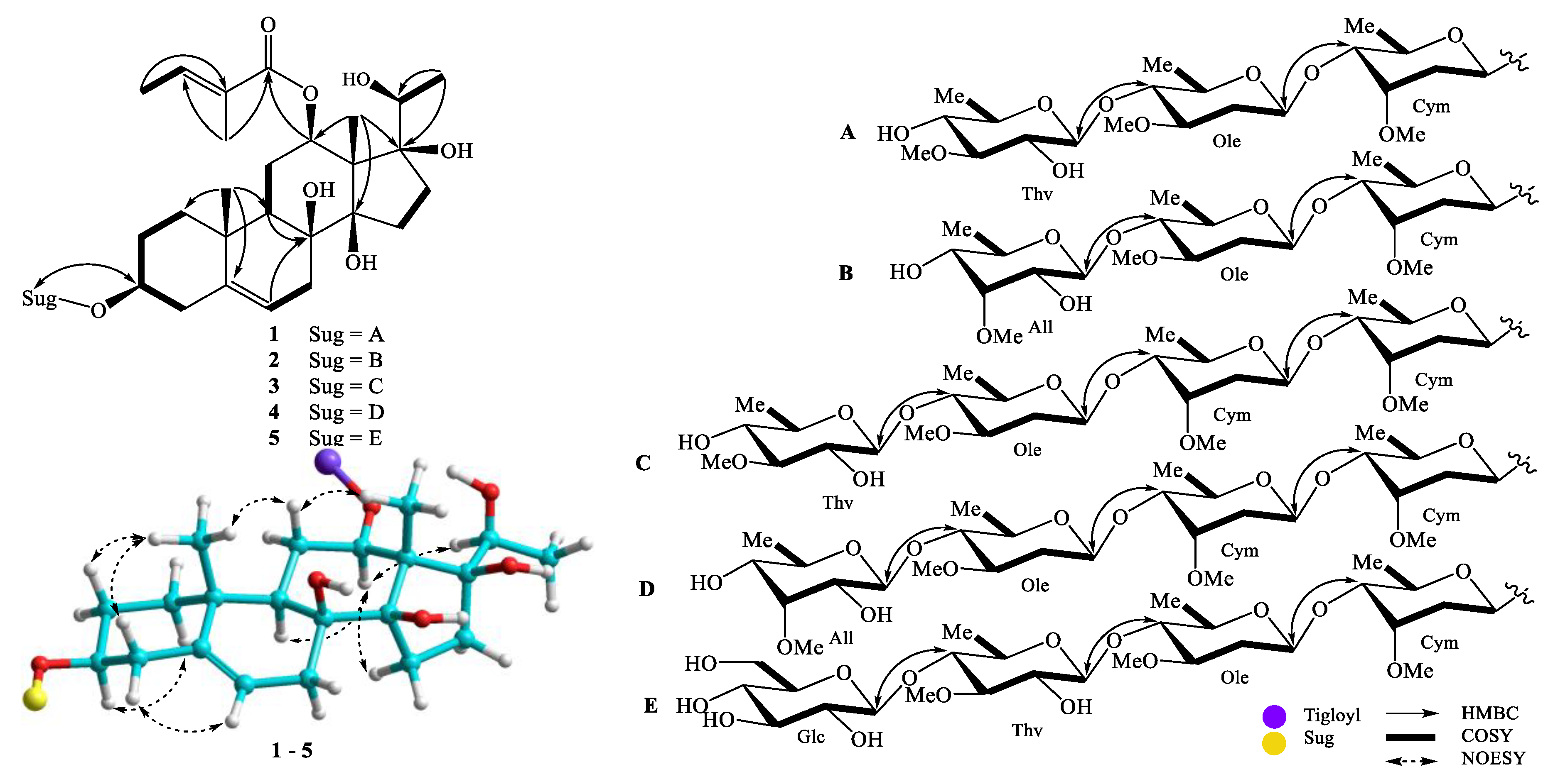 Molecules 25 02525 g002