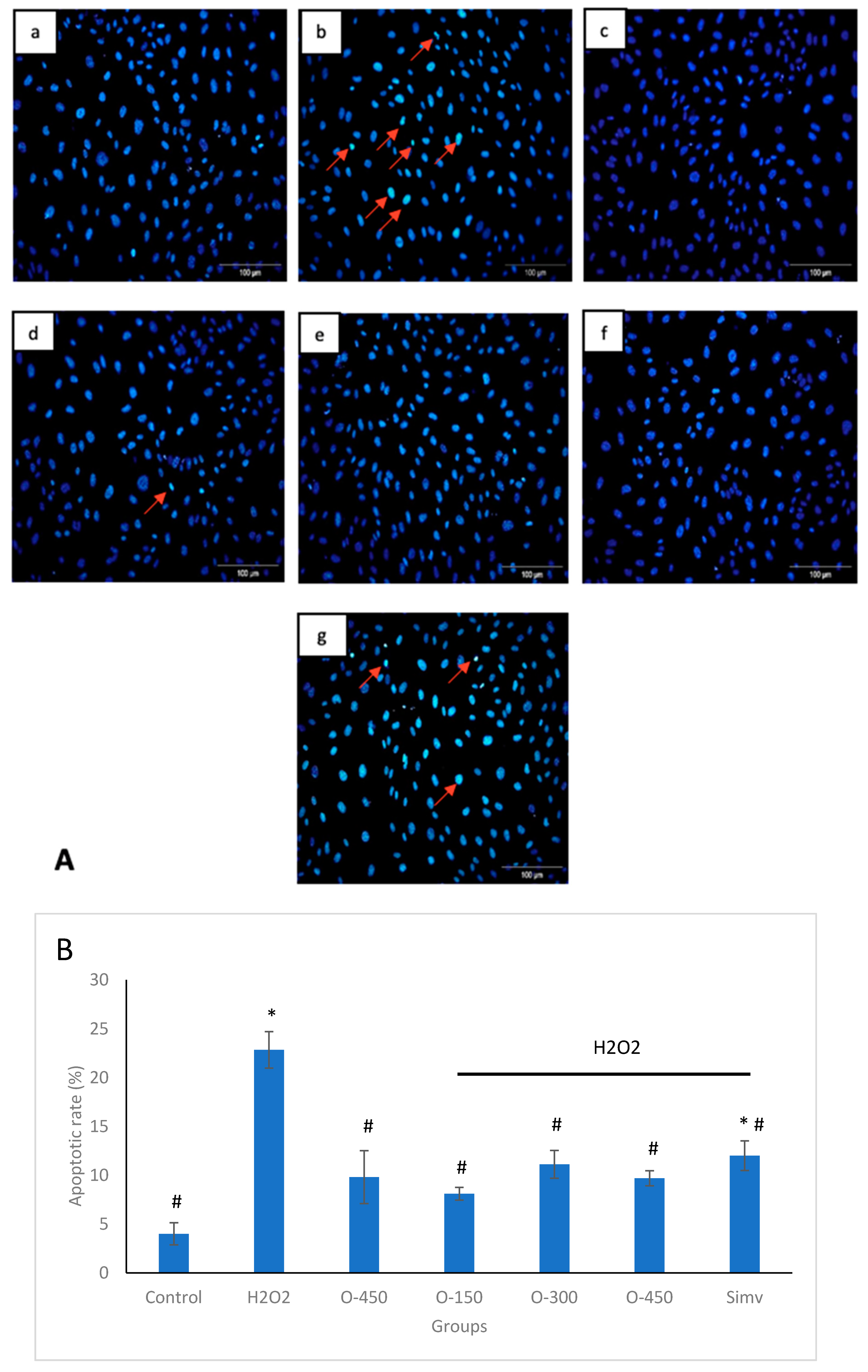 Molecules 25 02534 g002 Molecules 25 02534 g002