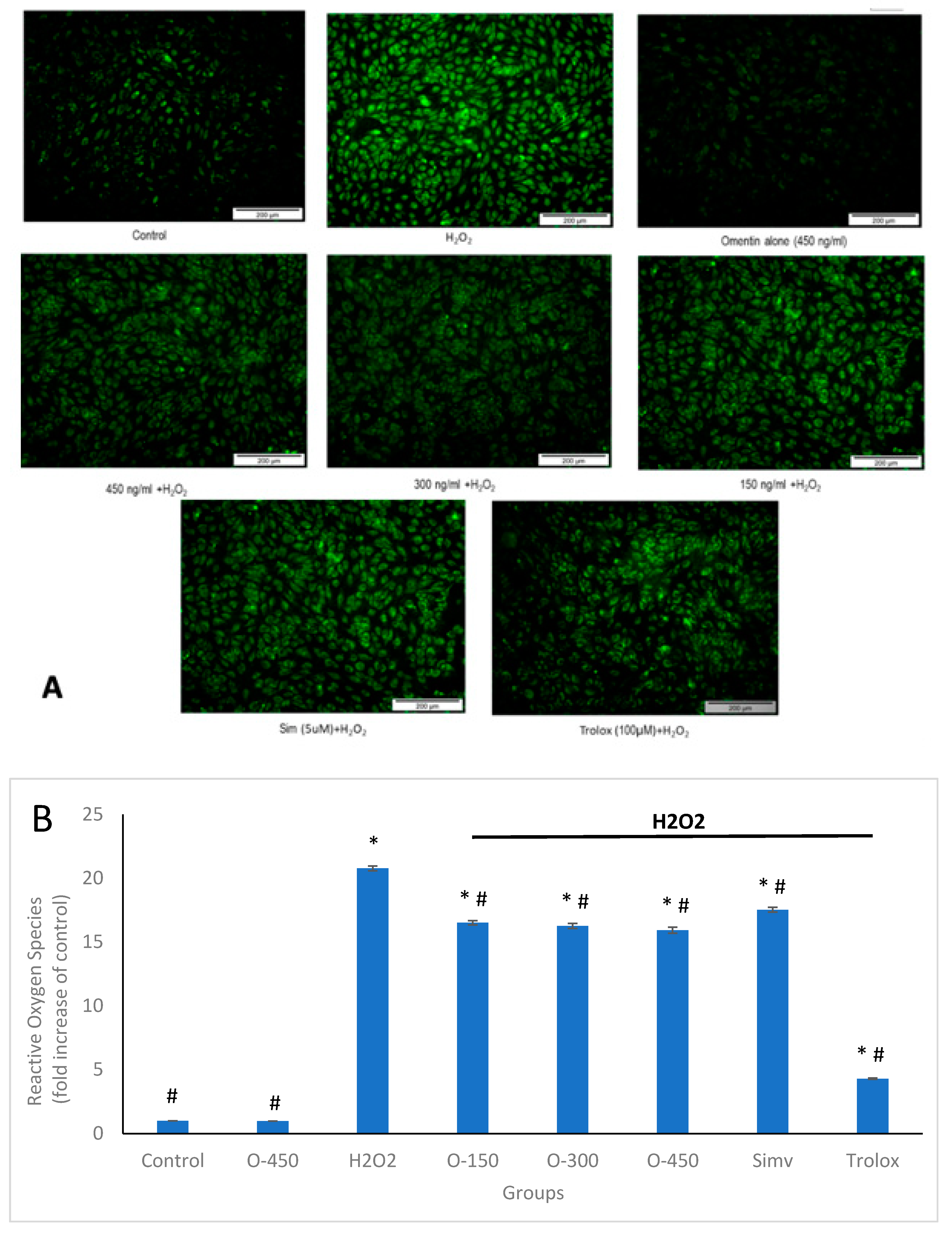 Molecules 25 02534 g004 Molecules 25 02534 g004