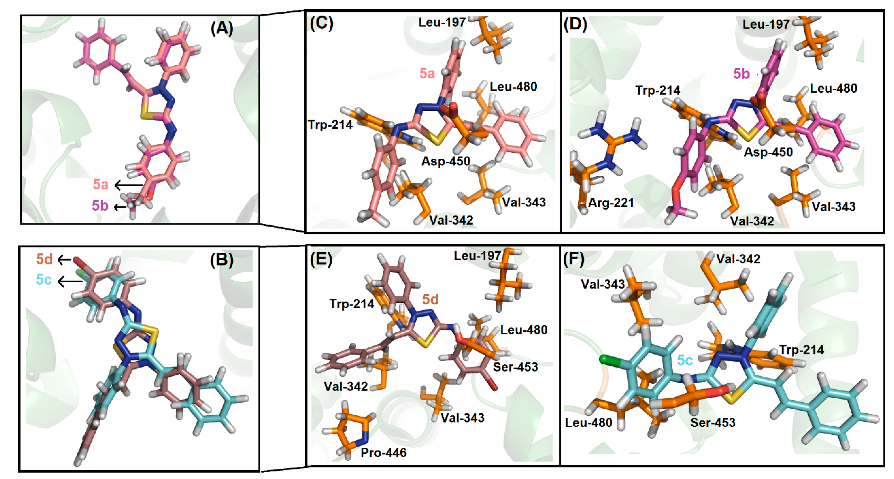 Molecules 25 02537 g009