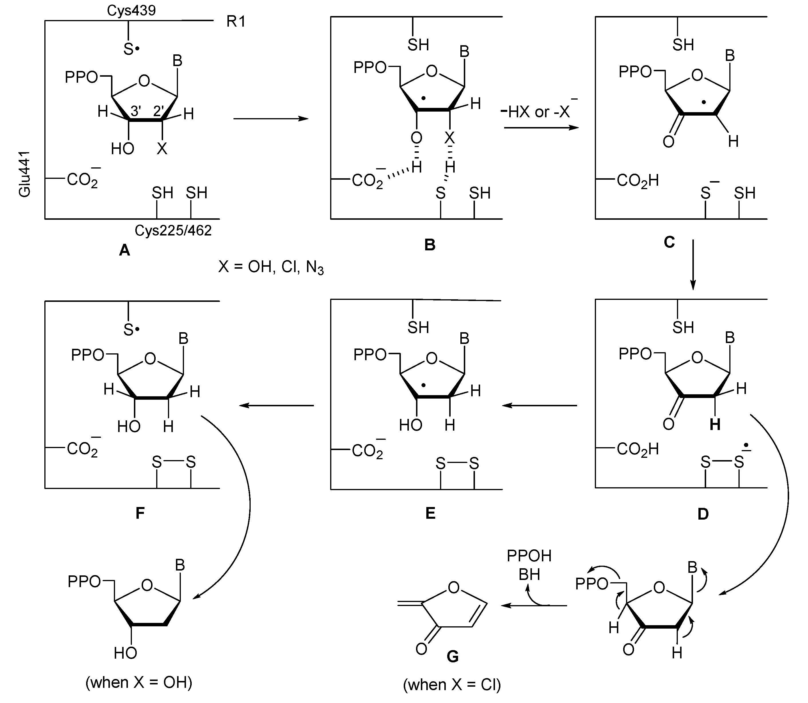 Molecules 25 02539 g001