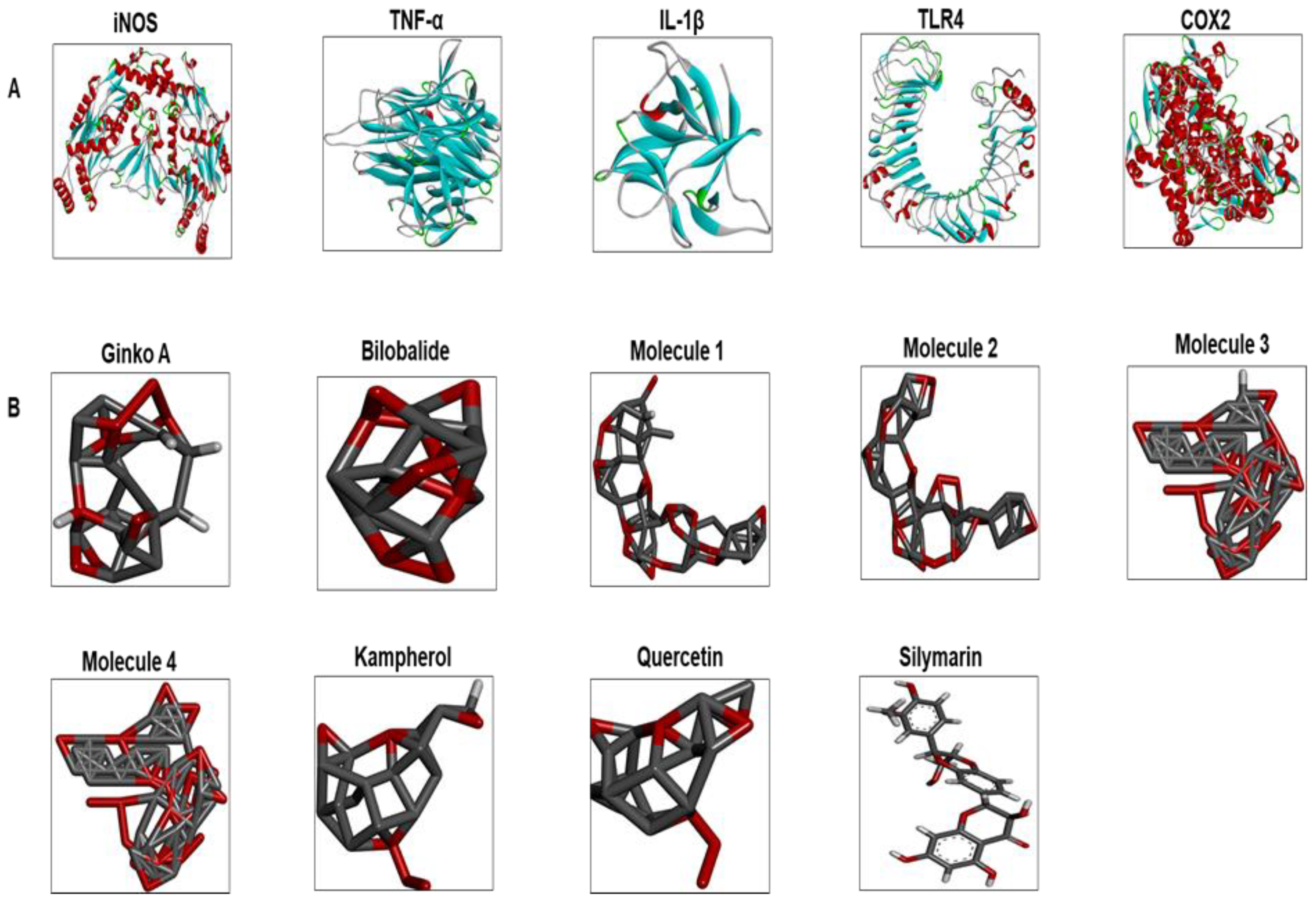 Molecules 25 02540 g005