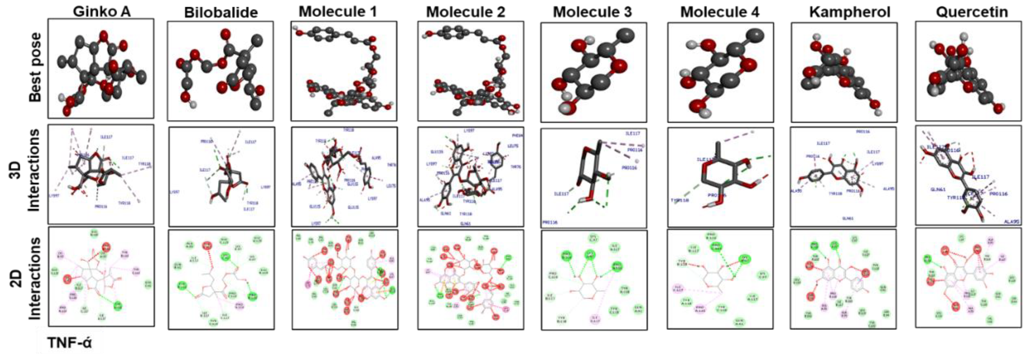 Molecules 25 02540 g008