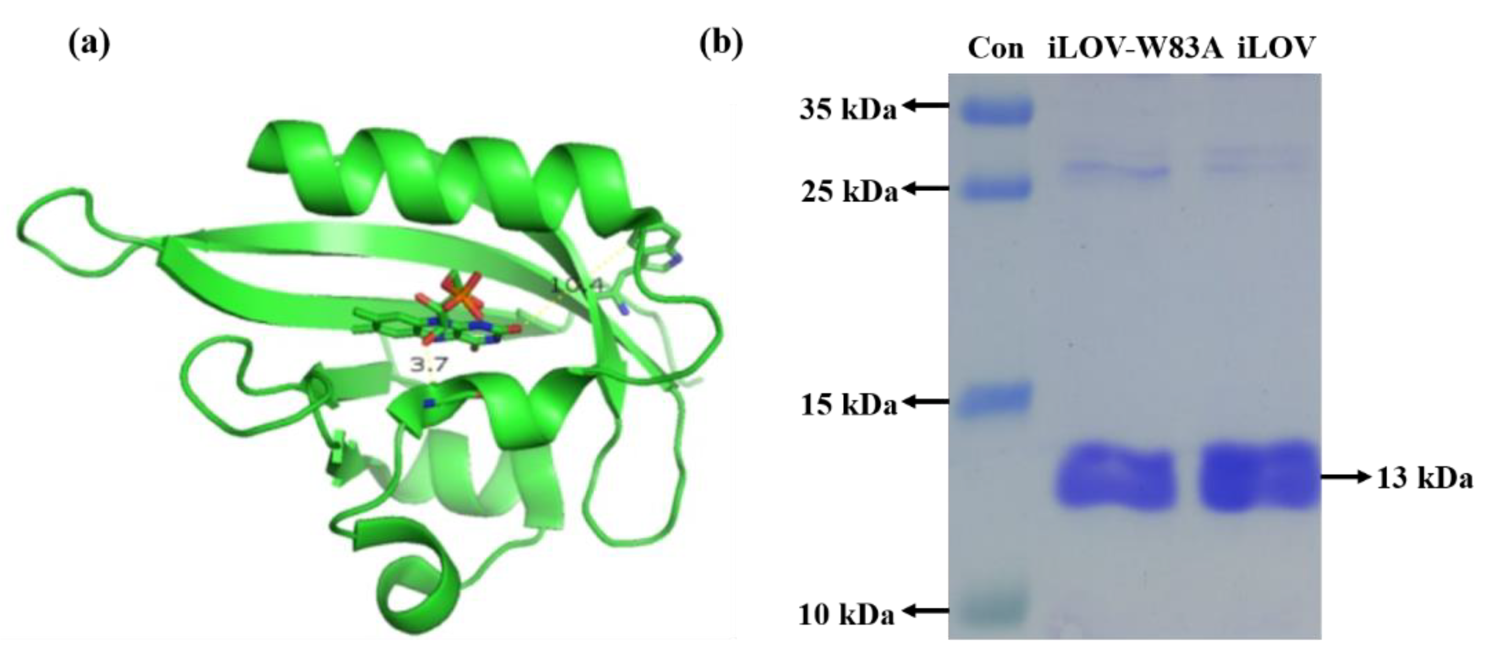 Molecules 25 02544 g001