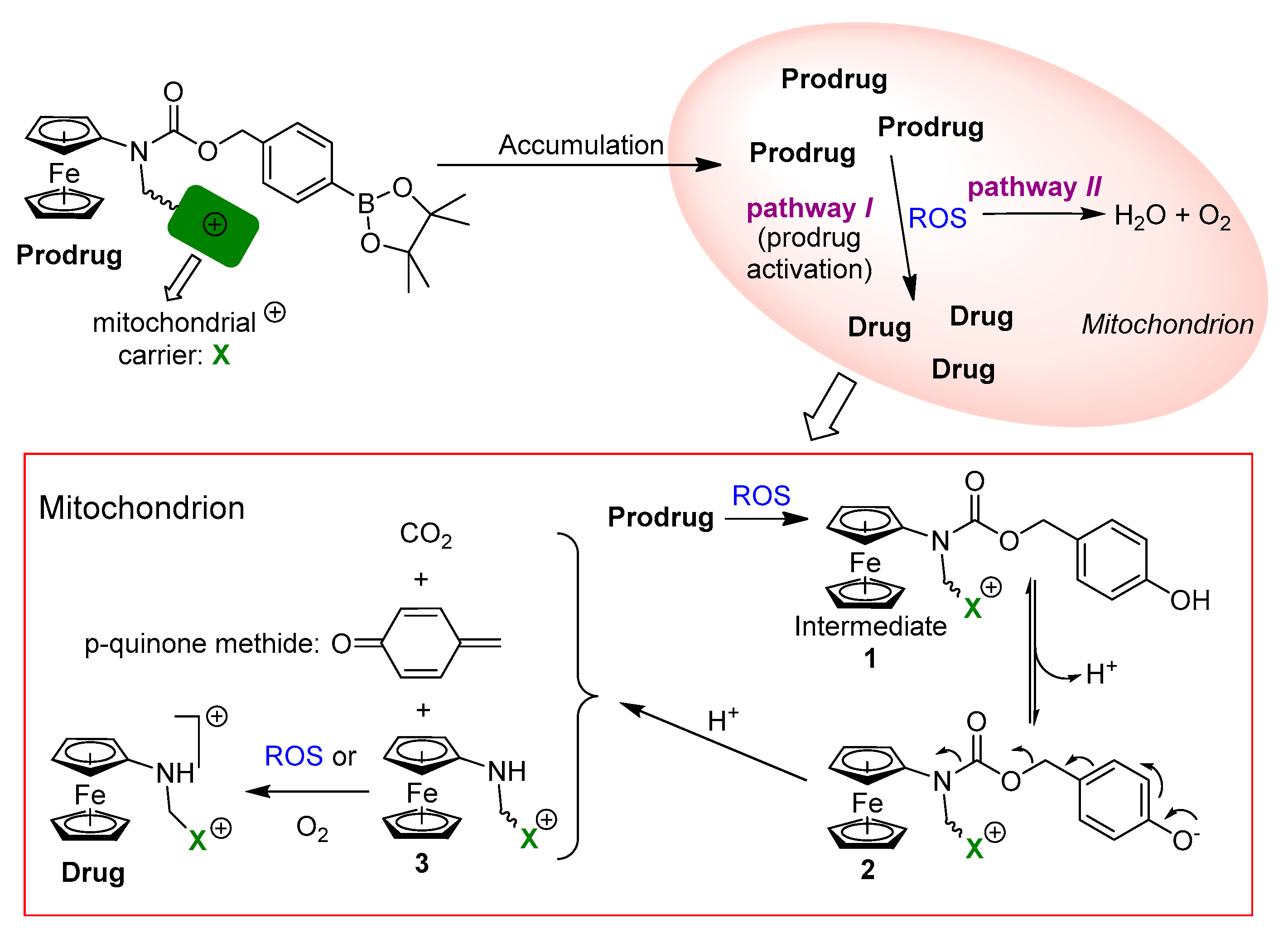 Molecules 25 02545 sch001 Molecules 25 02545 sch001