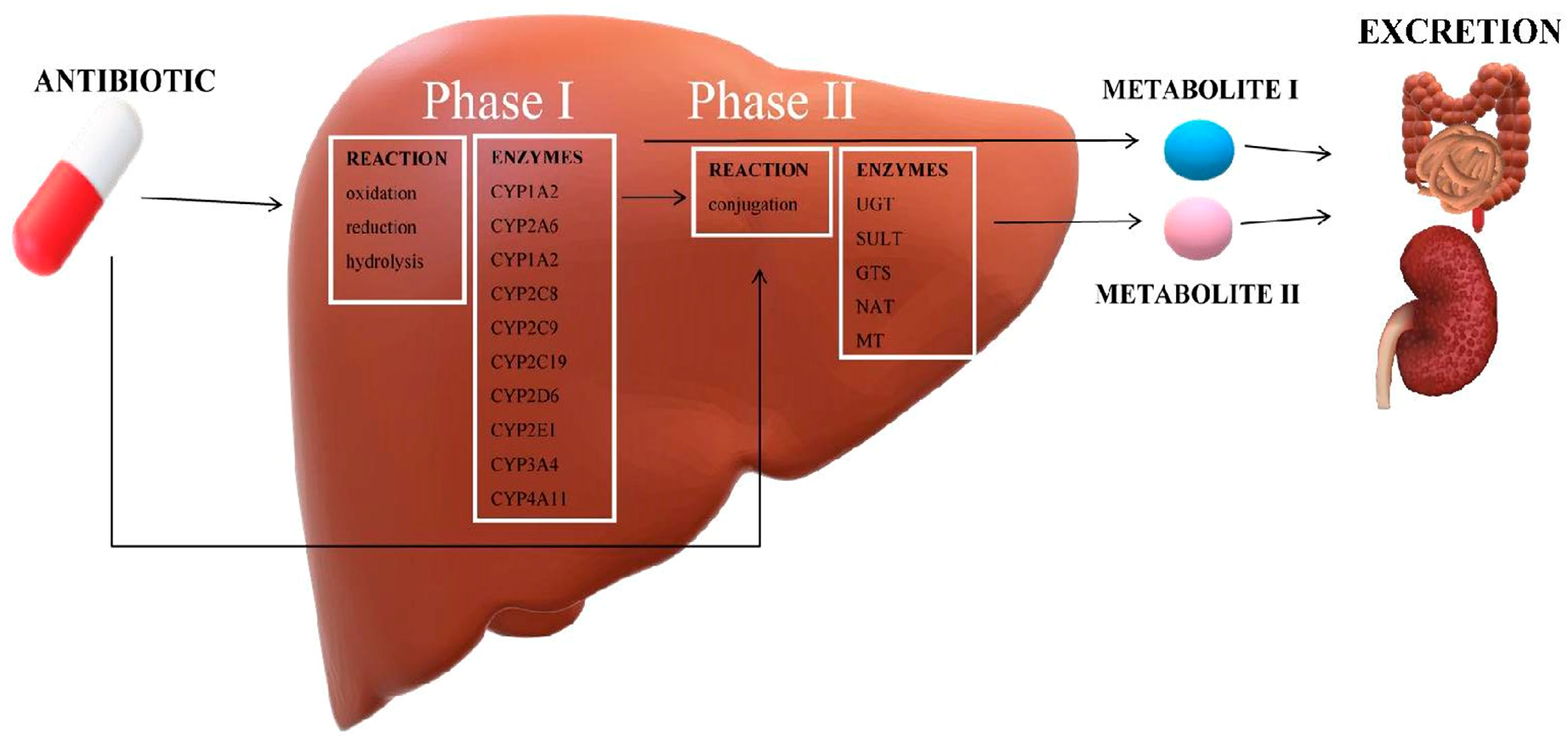 Molecules 25 02556 g002 Molecules 25 02556 g002