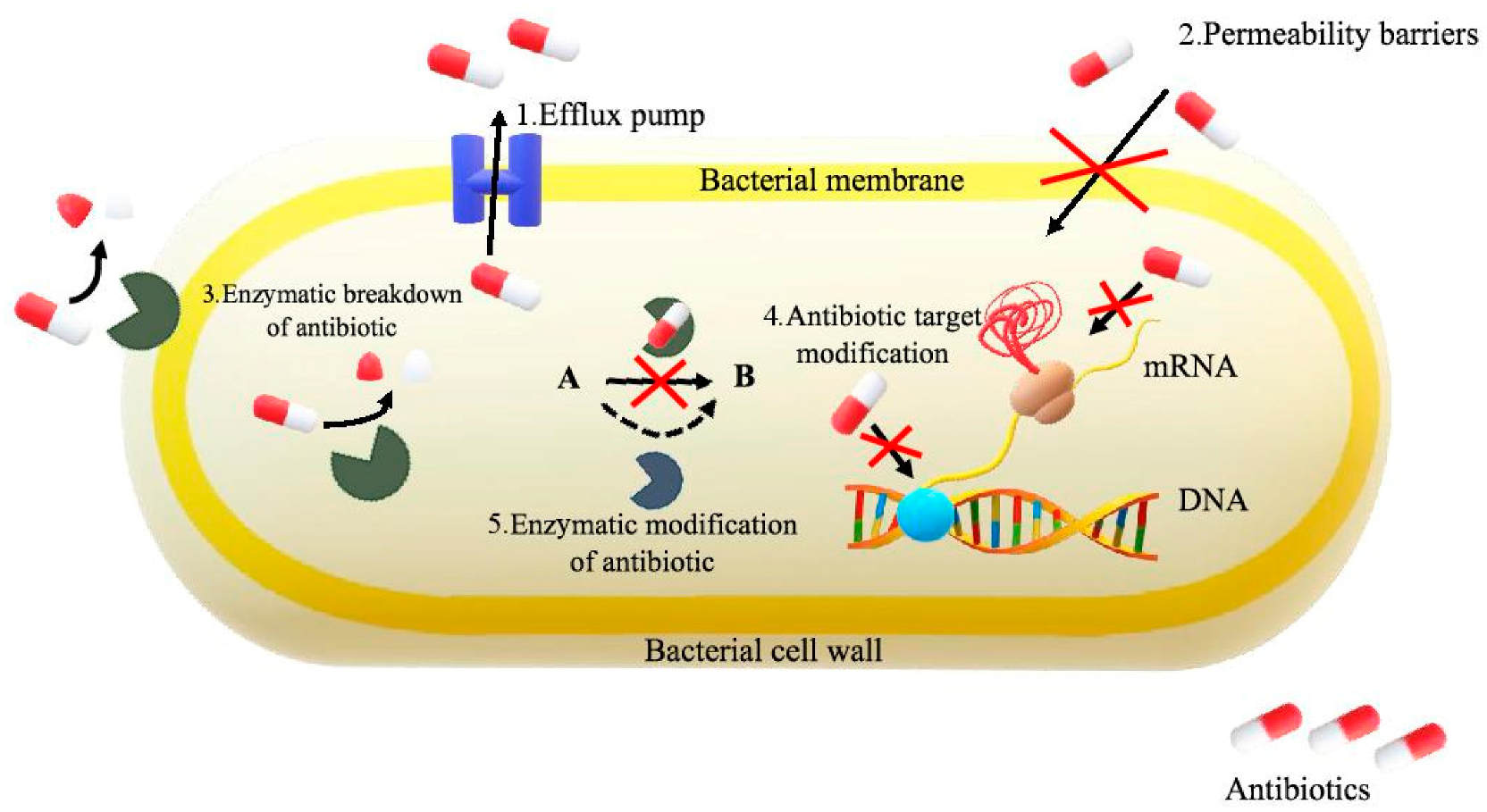 Molecules 25 02556 g003 Molecules 25 02556 g003
