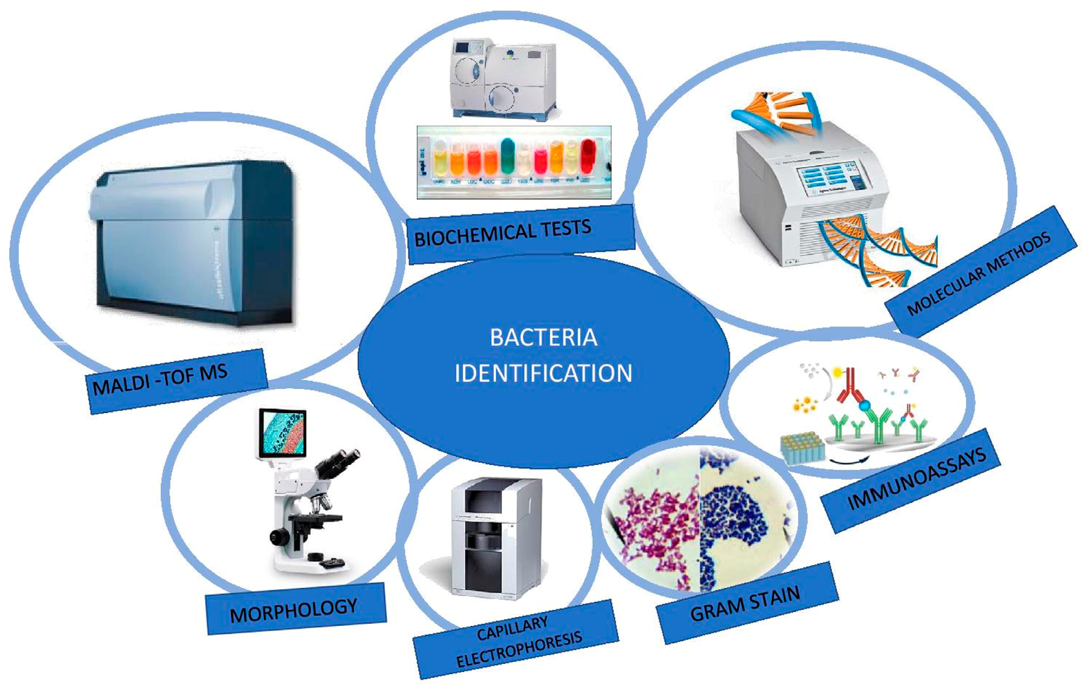Molecules 25 02556 g006 Molecules 25 02556 g006
