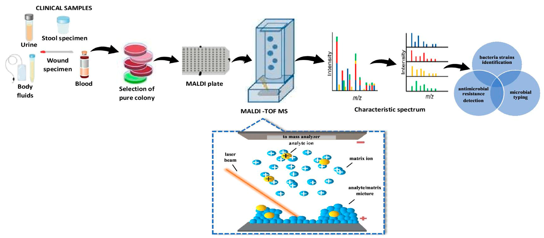 Molecules 25 02556 g008 Molecules 25 02556 g008