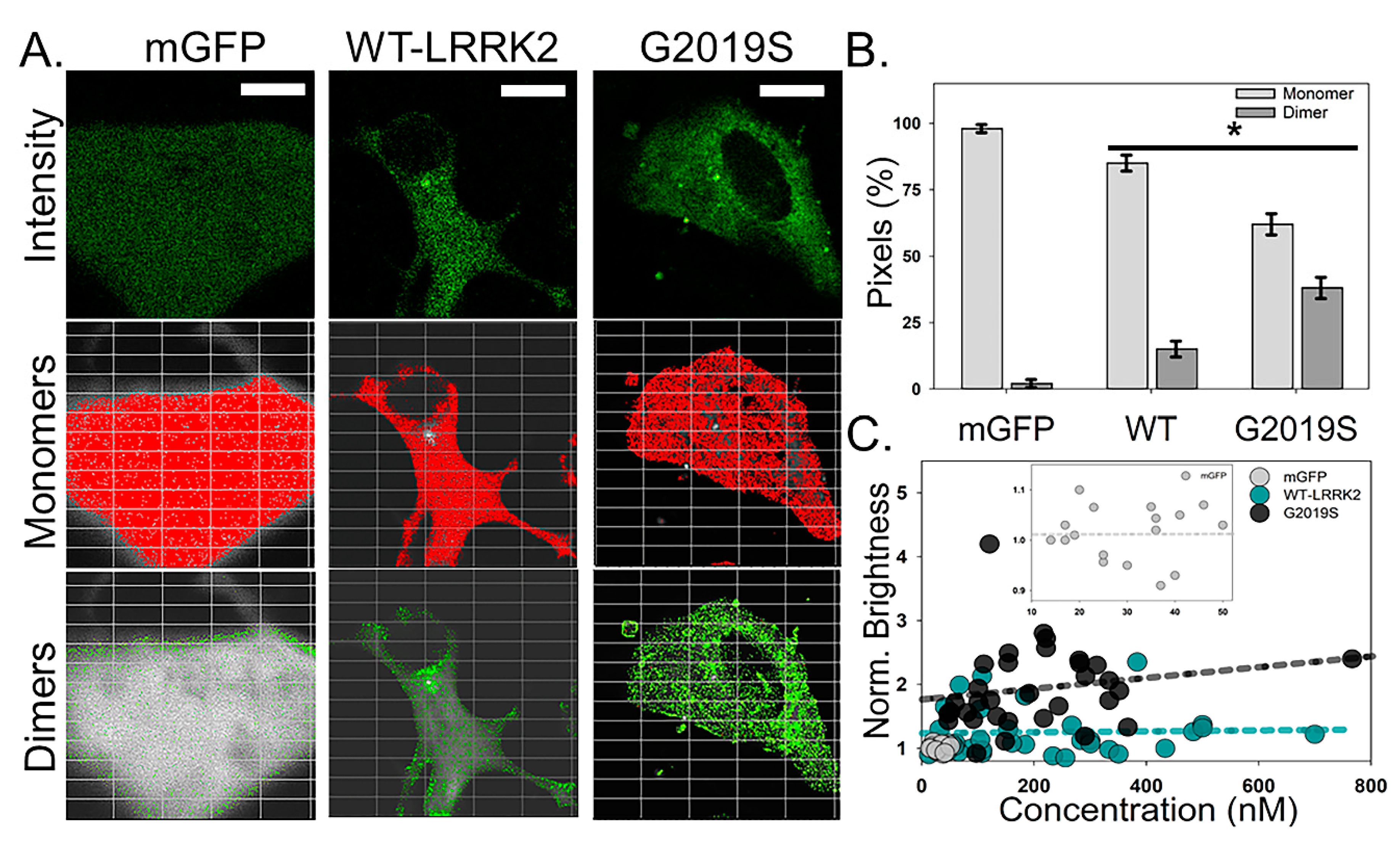 Molecules 25 02561 g001 Molecules 25 02561 g001