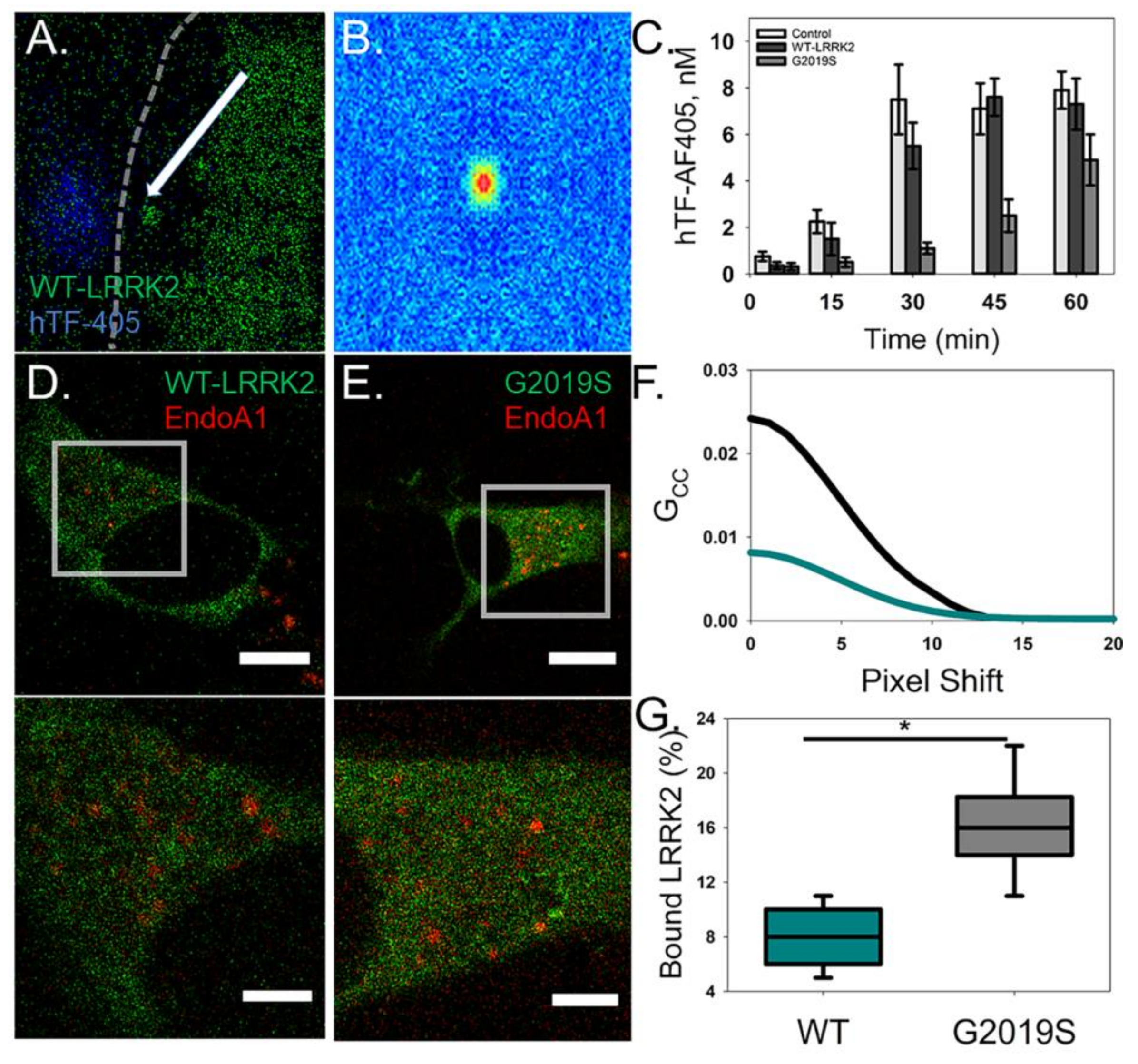 Molecules 25 02561 g004 Molecules 25 02561 g004
