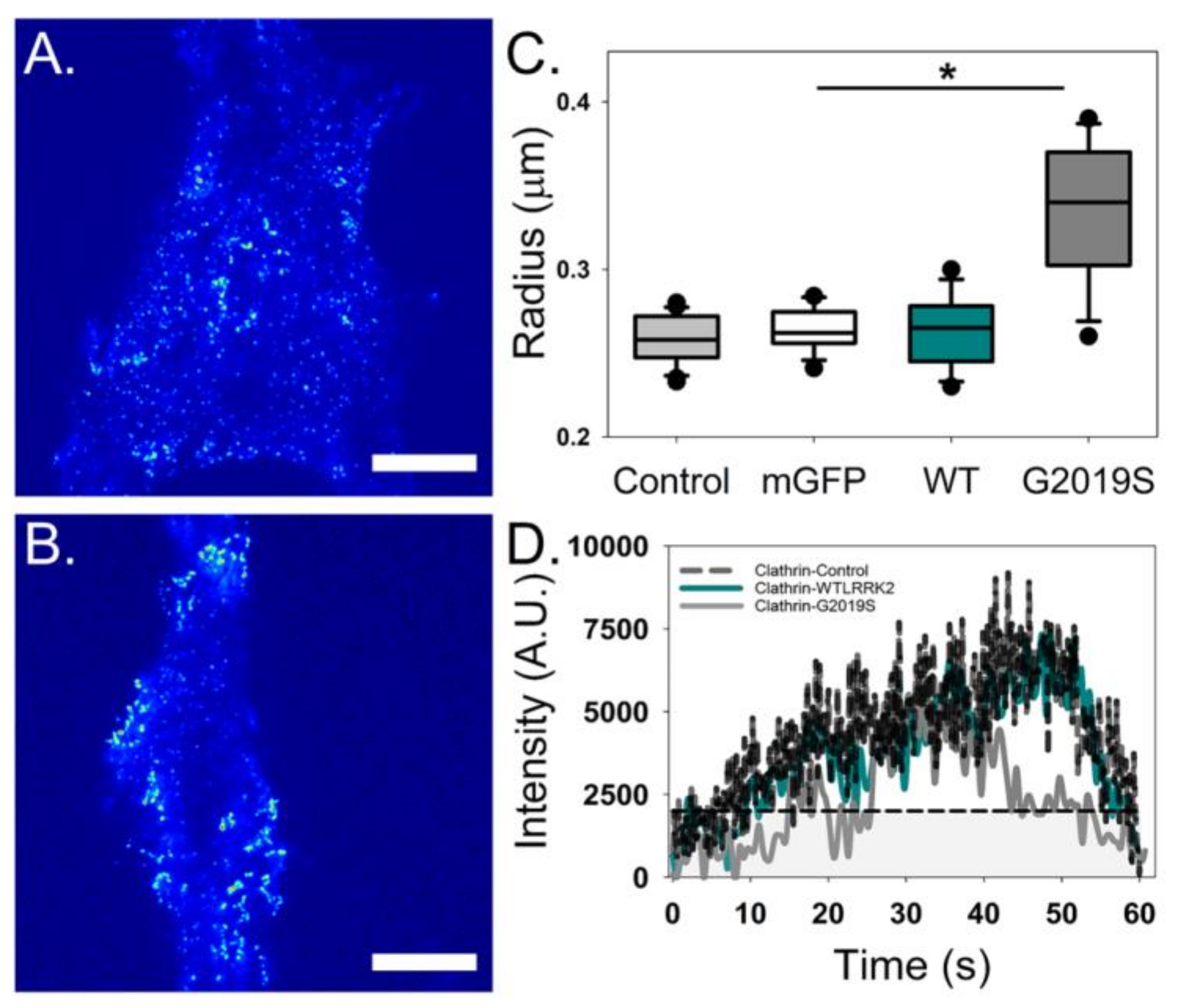Molecules 25 02561 g005 Molecules 25 02561 g005