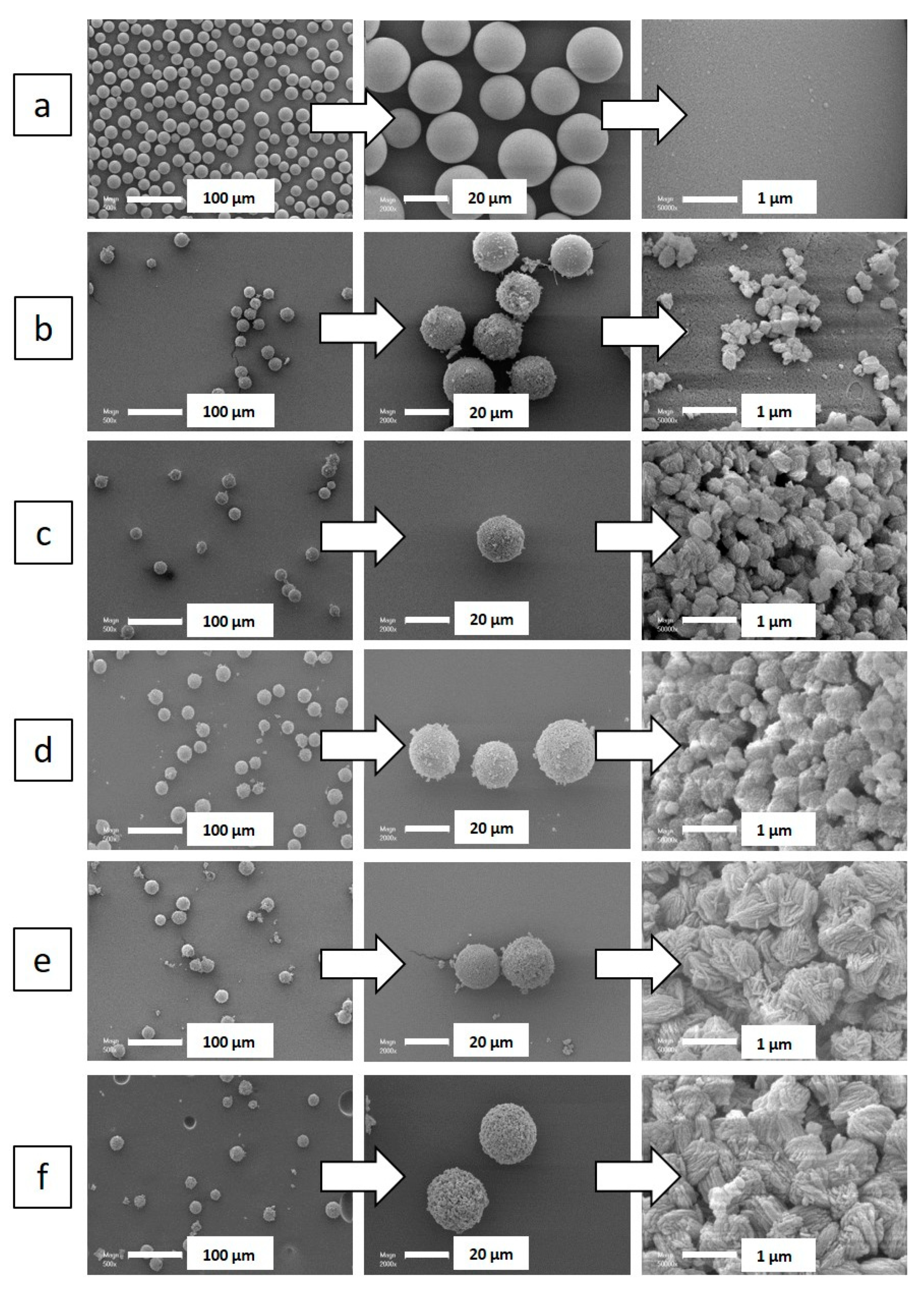 Molecules 25 02563 g002a Molecules 25 02563 g002a