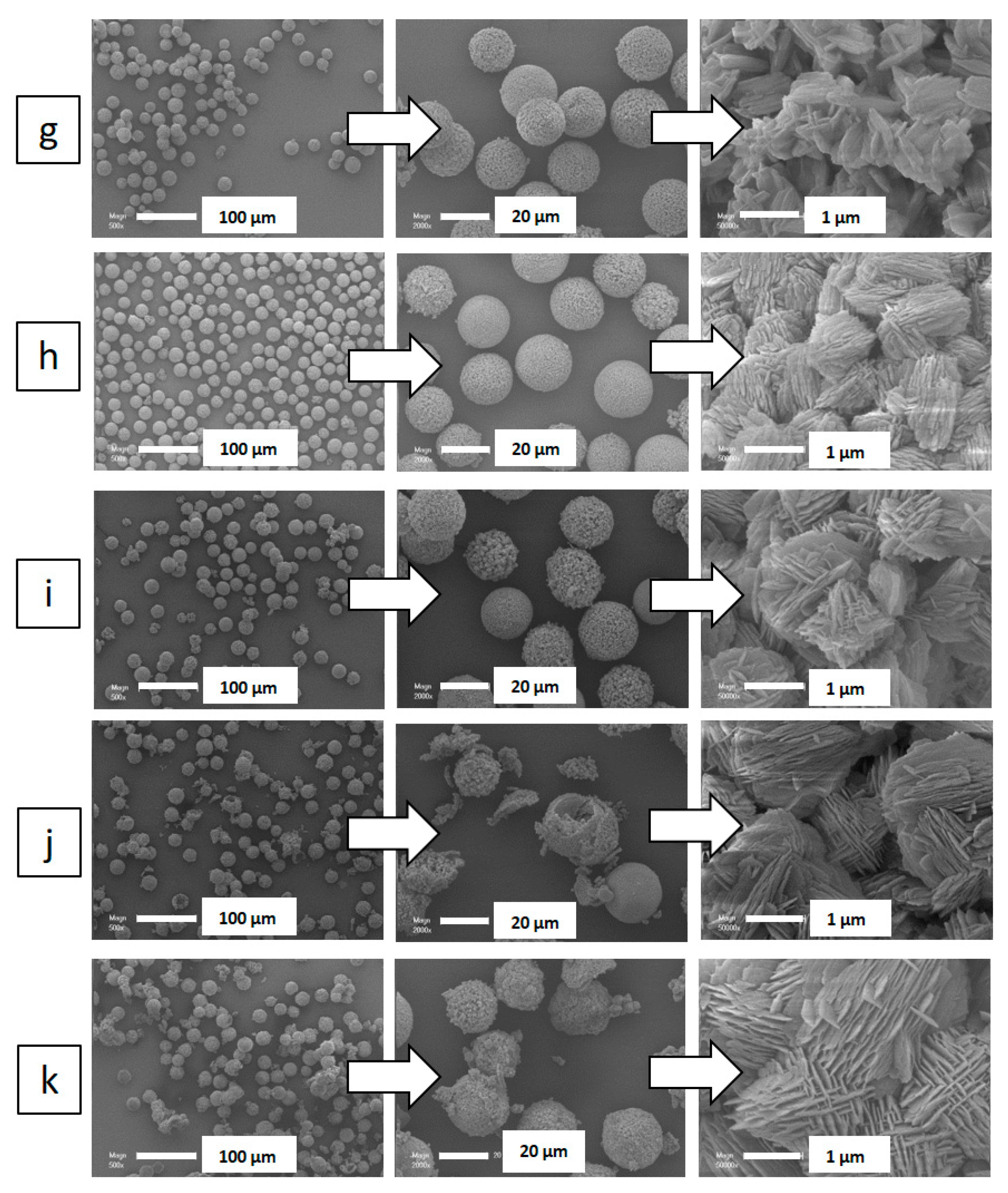 Molecules 25 02563 g002b Molecules 25 02563 g002b